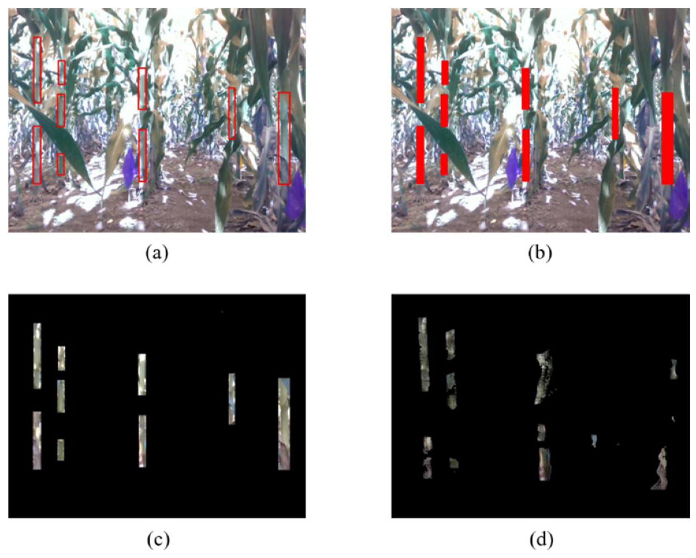 Remote Sensing 