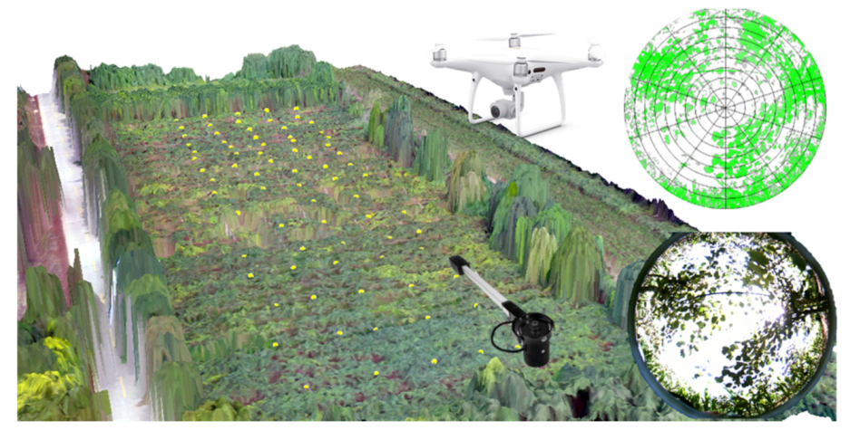 Remotesensing 14 01063 g002