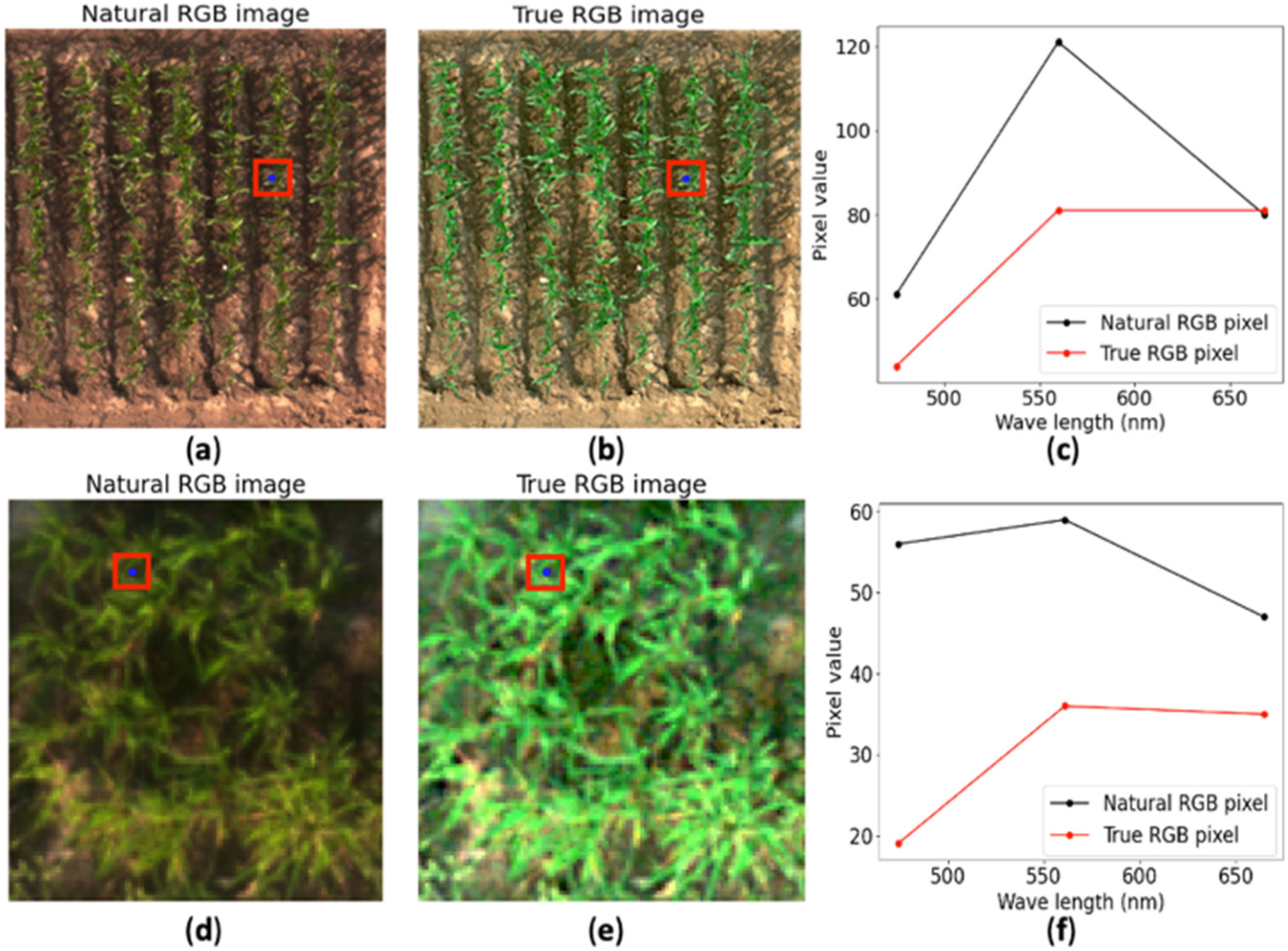 Remote Sensing, Free Full-Text