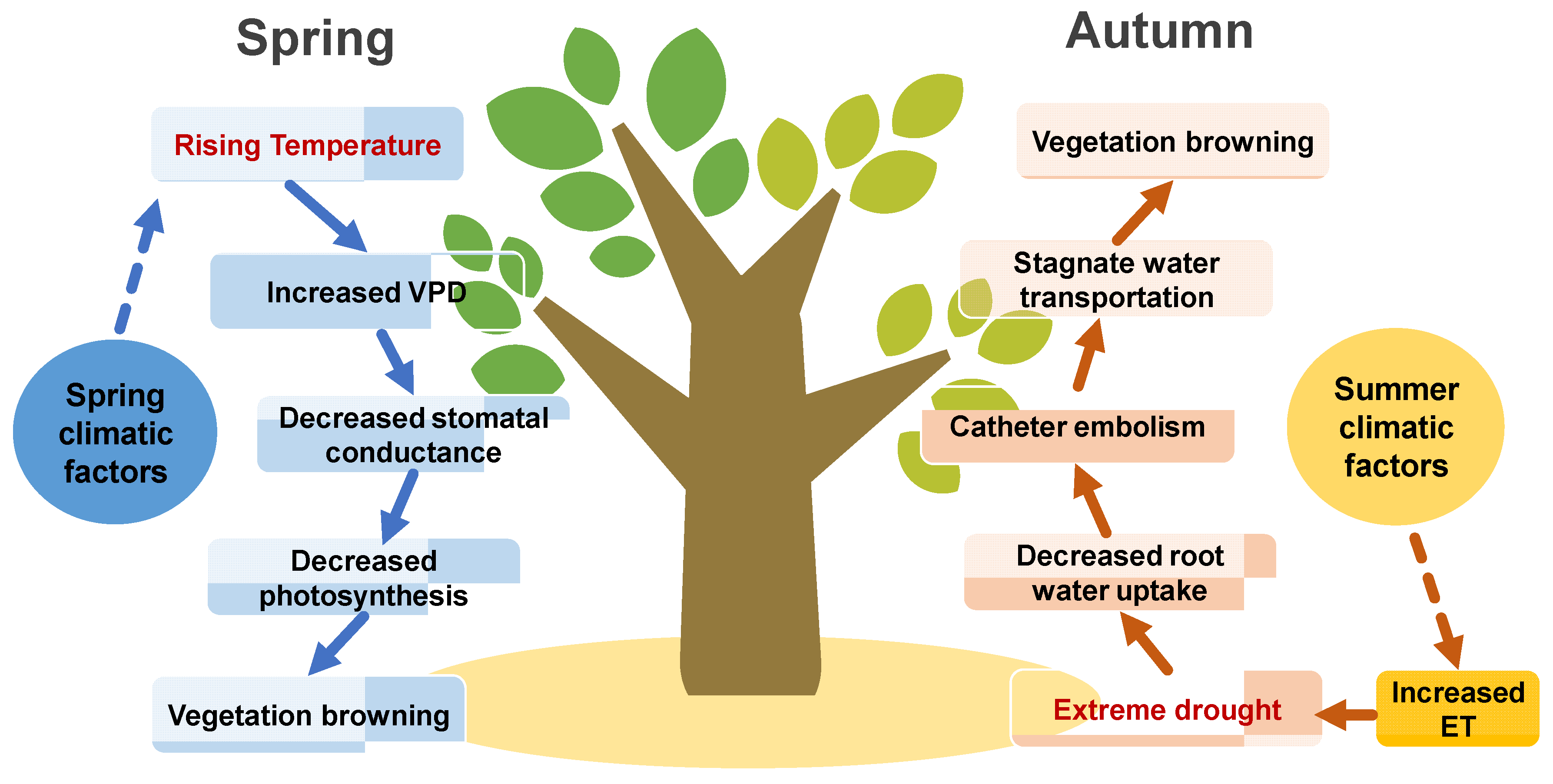 Remotesensing 14 01298 g013