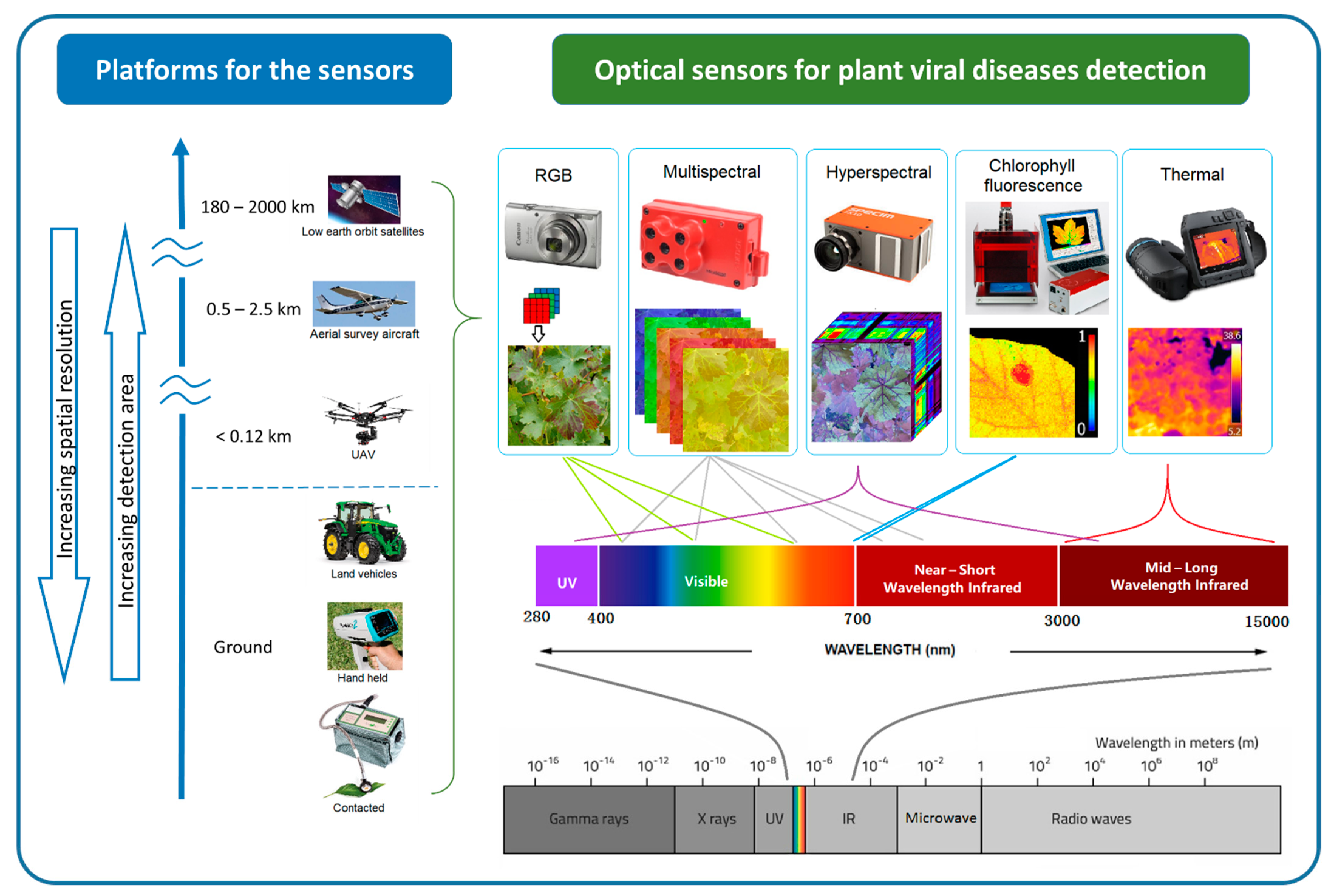 Remote Sensing | Free Full-Text | Plant Viral Disease Detection