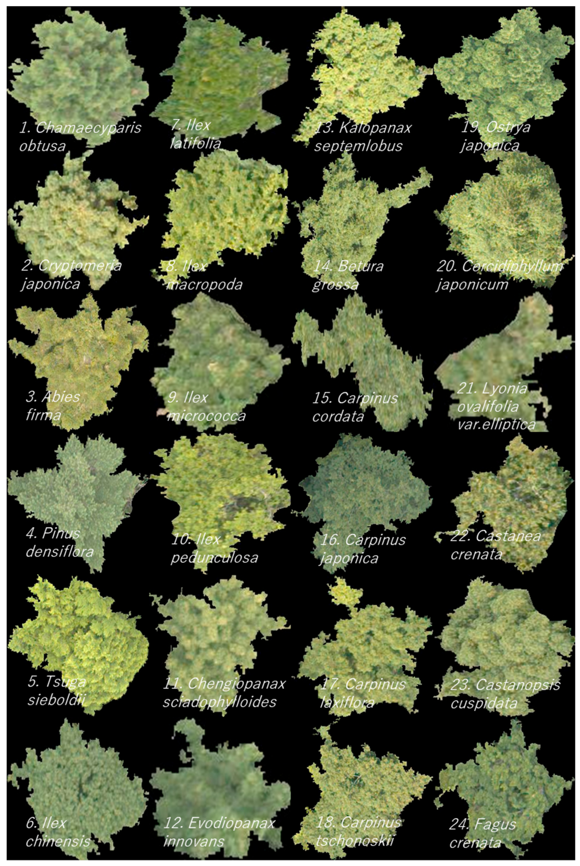 Remotesensing 14 01710 g003a