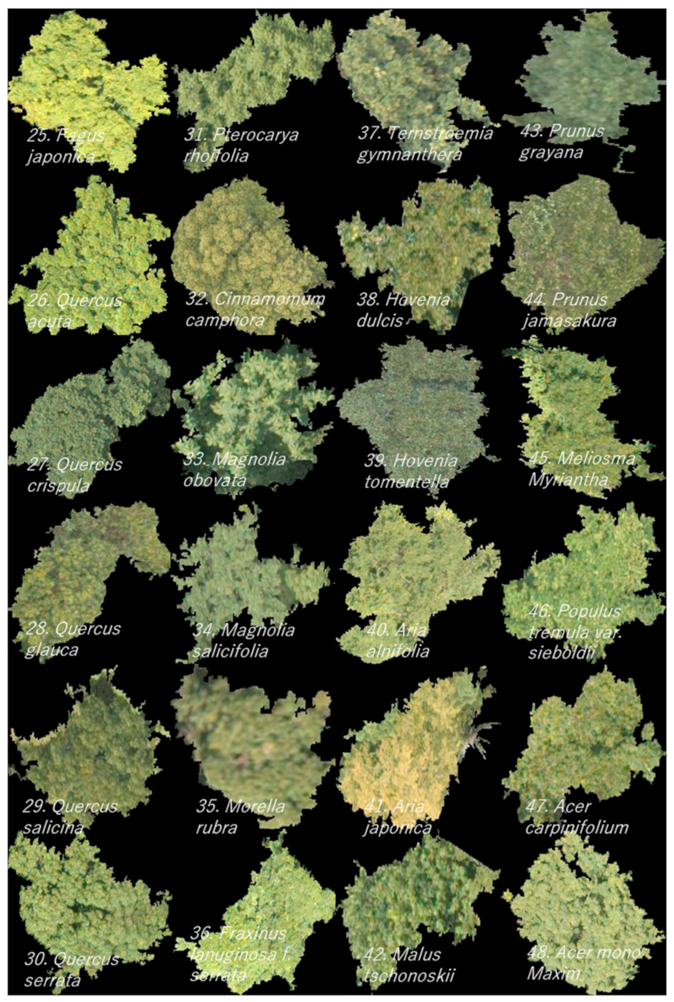 Remotesensing 14 01710 g003b