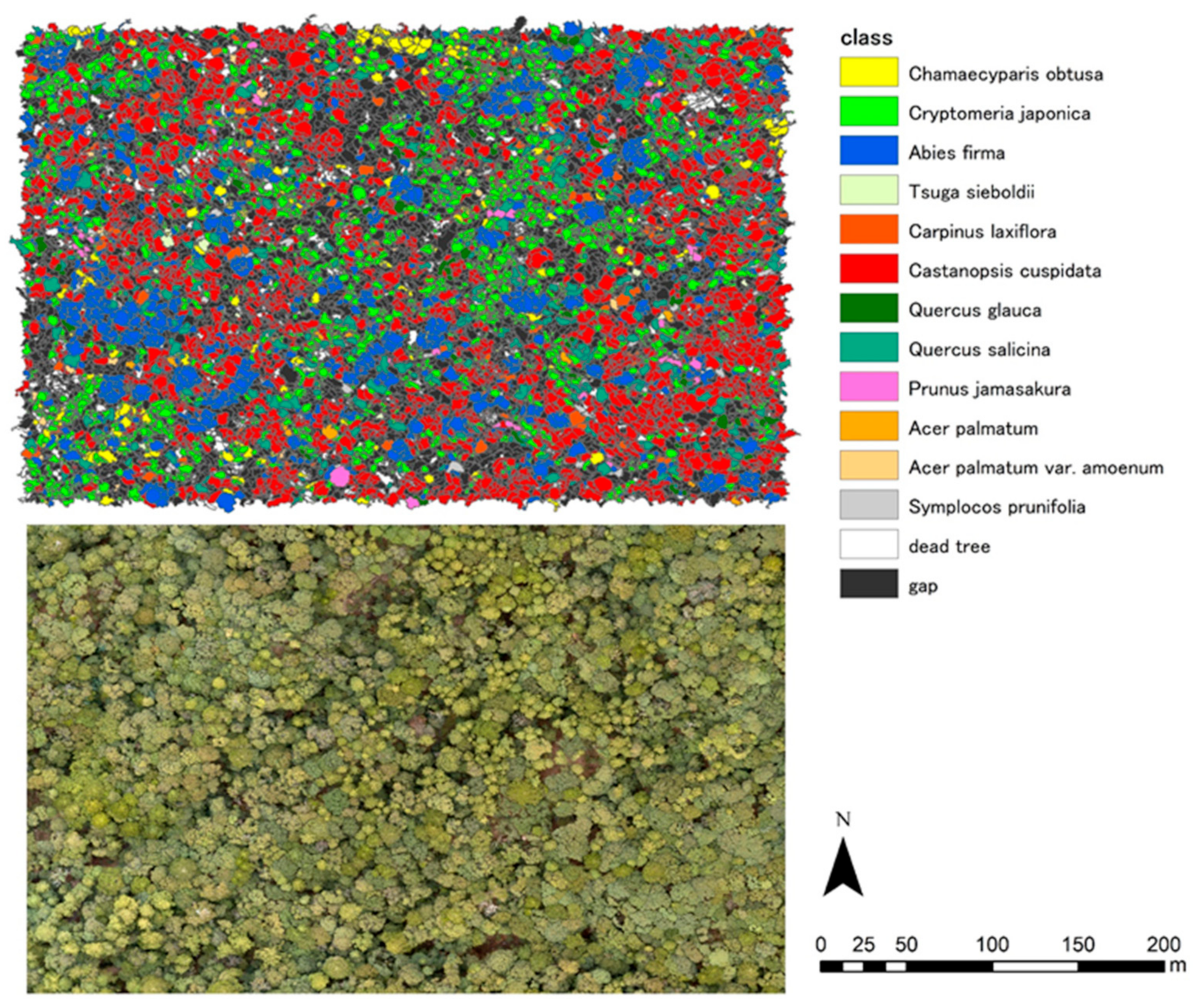 Remotesensing 14 01710 g010