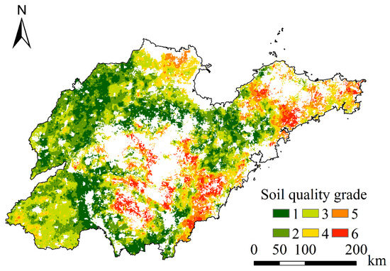 Remote Sensing | Free Full-Text | Identification of Cultivated 