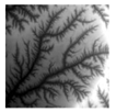 Remotesensing 14 02282 i024