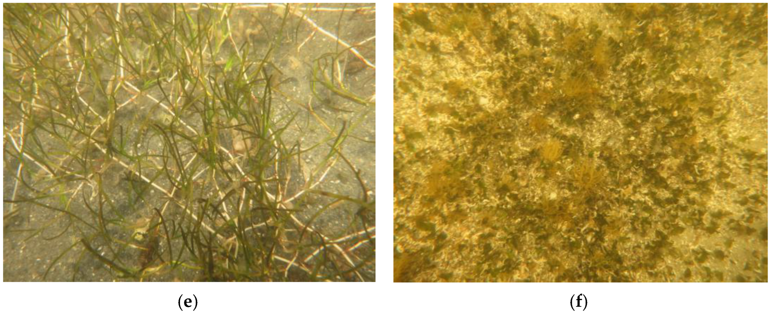 Remotesensing 14 02373 g003b