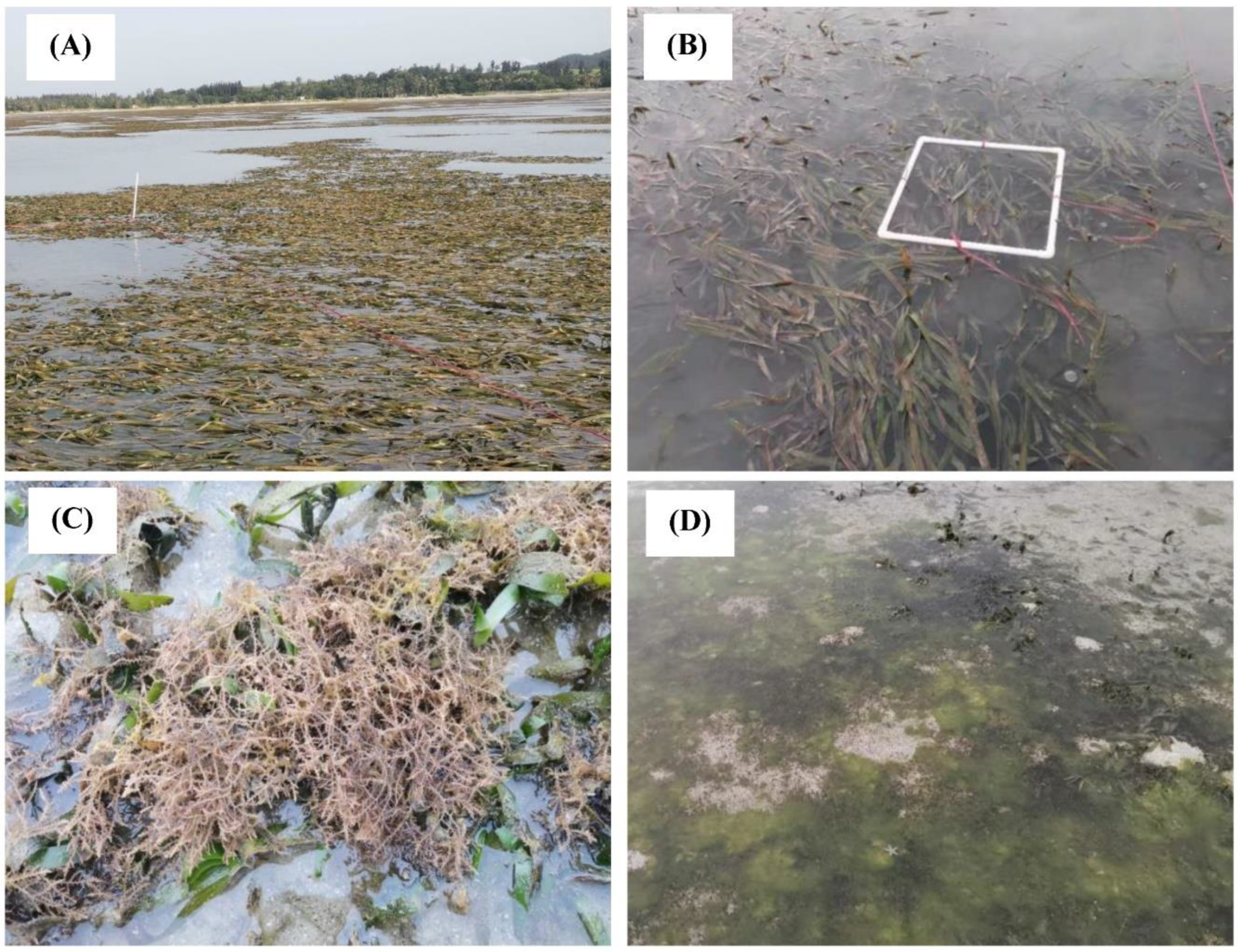 Remotesensing 14 02373 g017