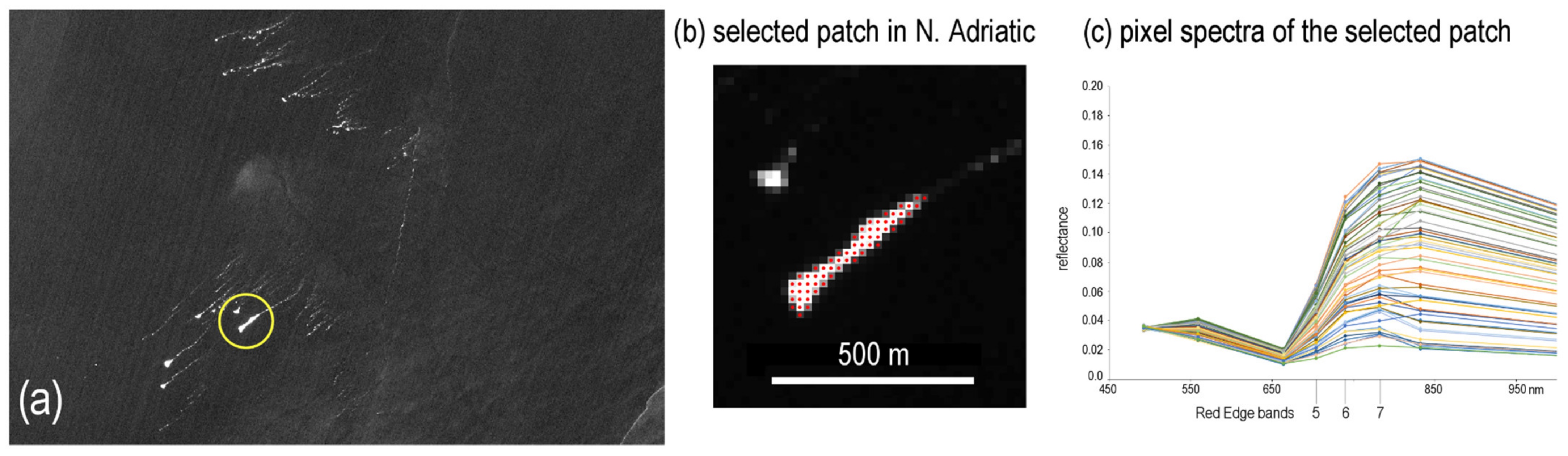 Remotesensing 14 02409 g012