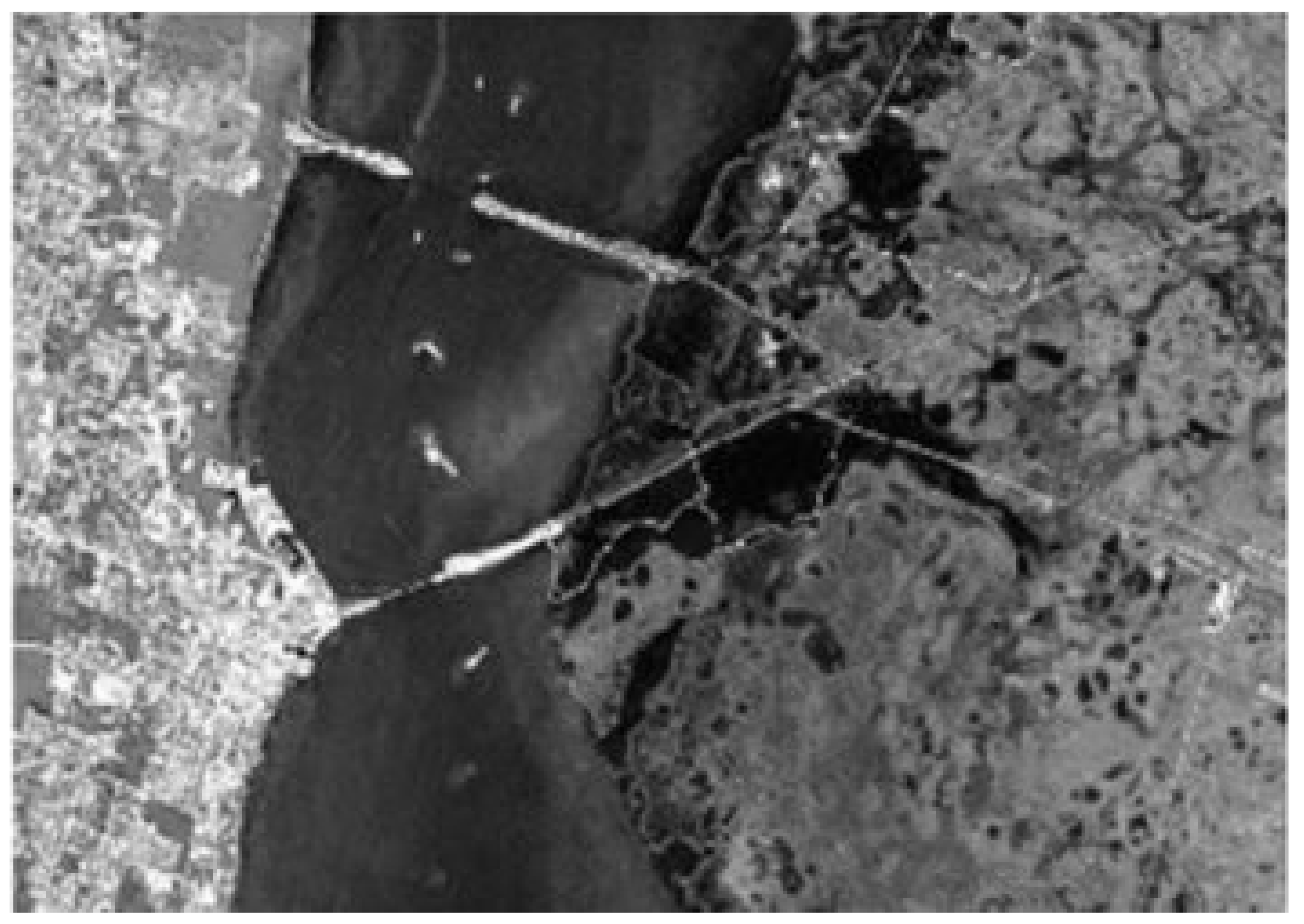 Remotesensing 14 02447 g004