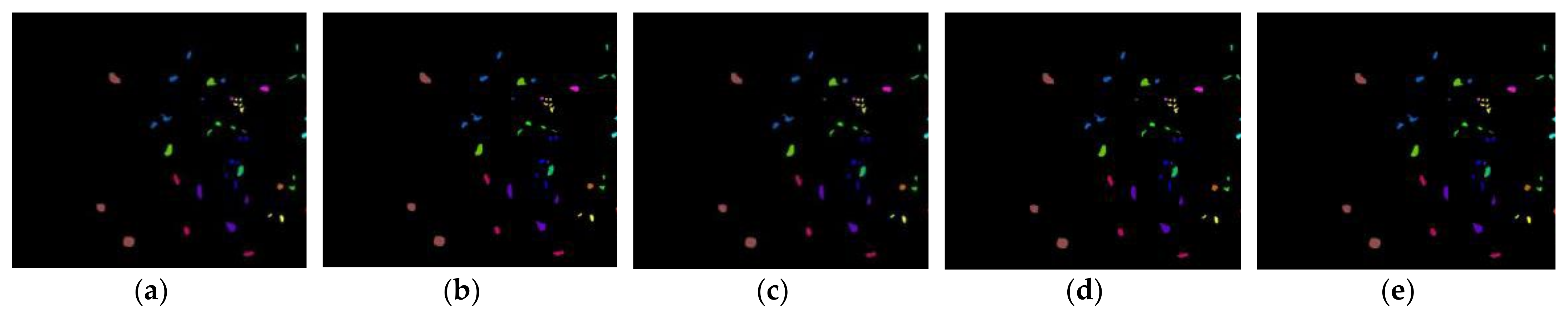 Remotesensing 14 02447 g011