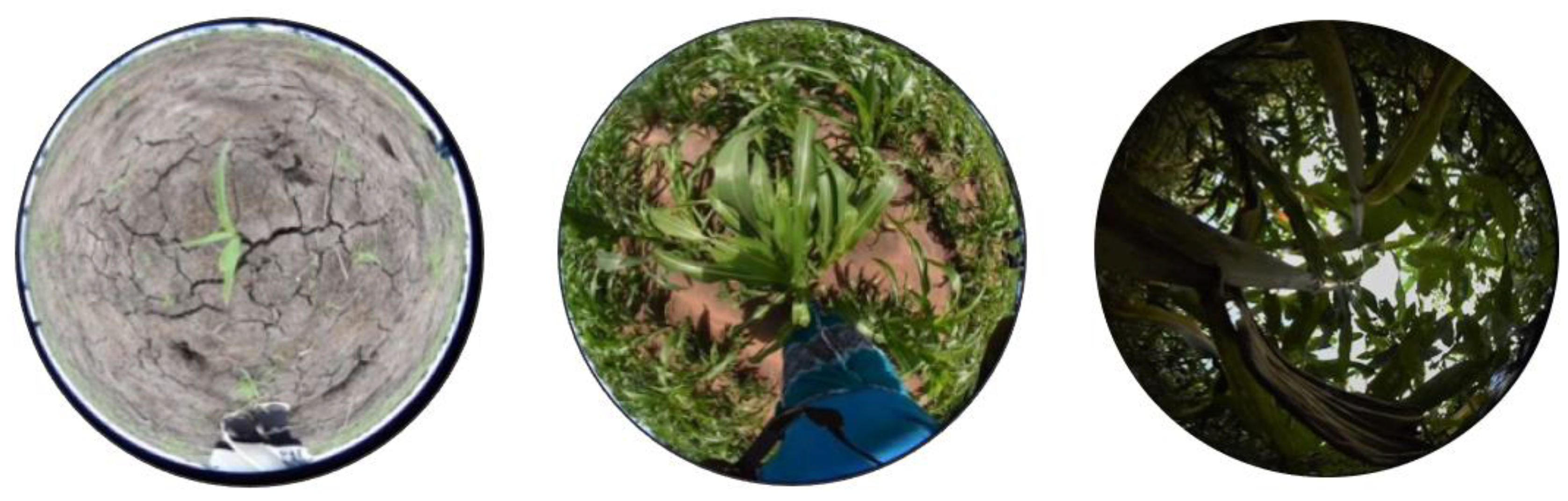 Remotesensing 14 02458 g002