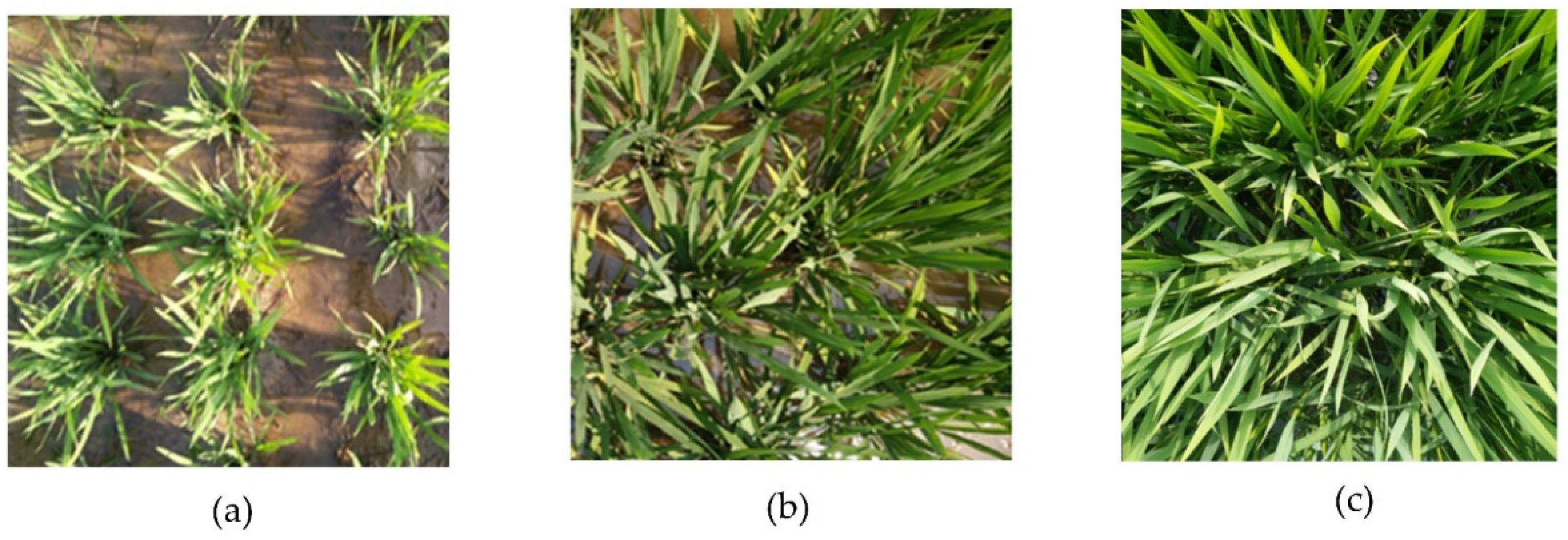 Remotesensing 14 02534 g003