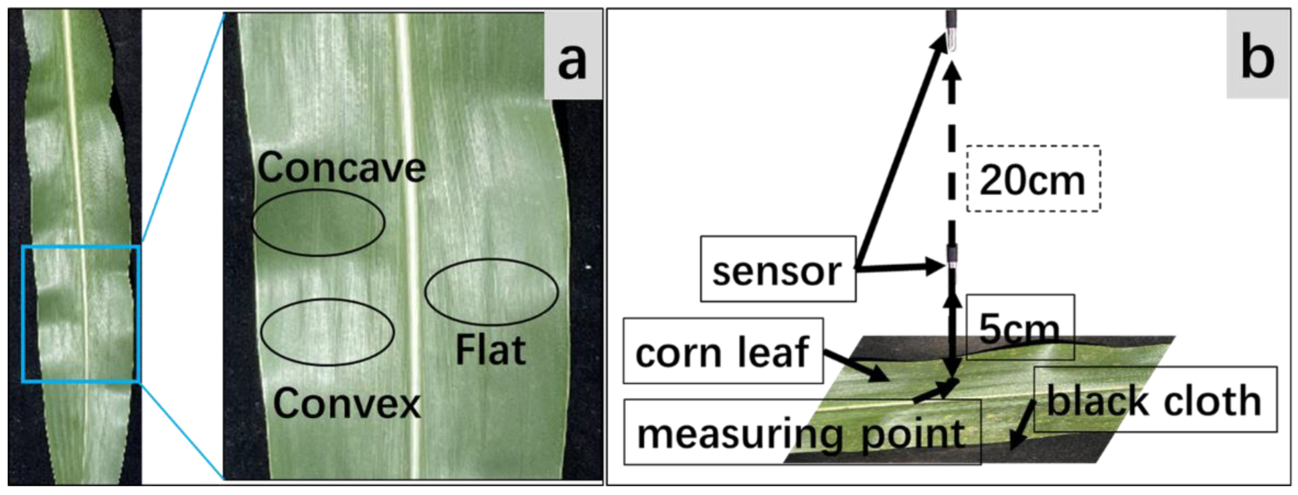 Remotesensing 14 02551 g003