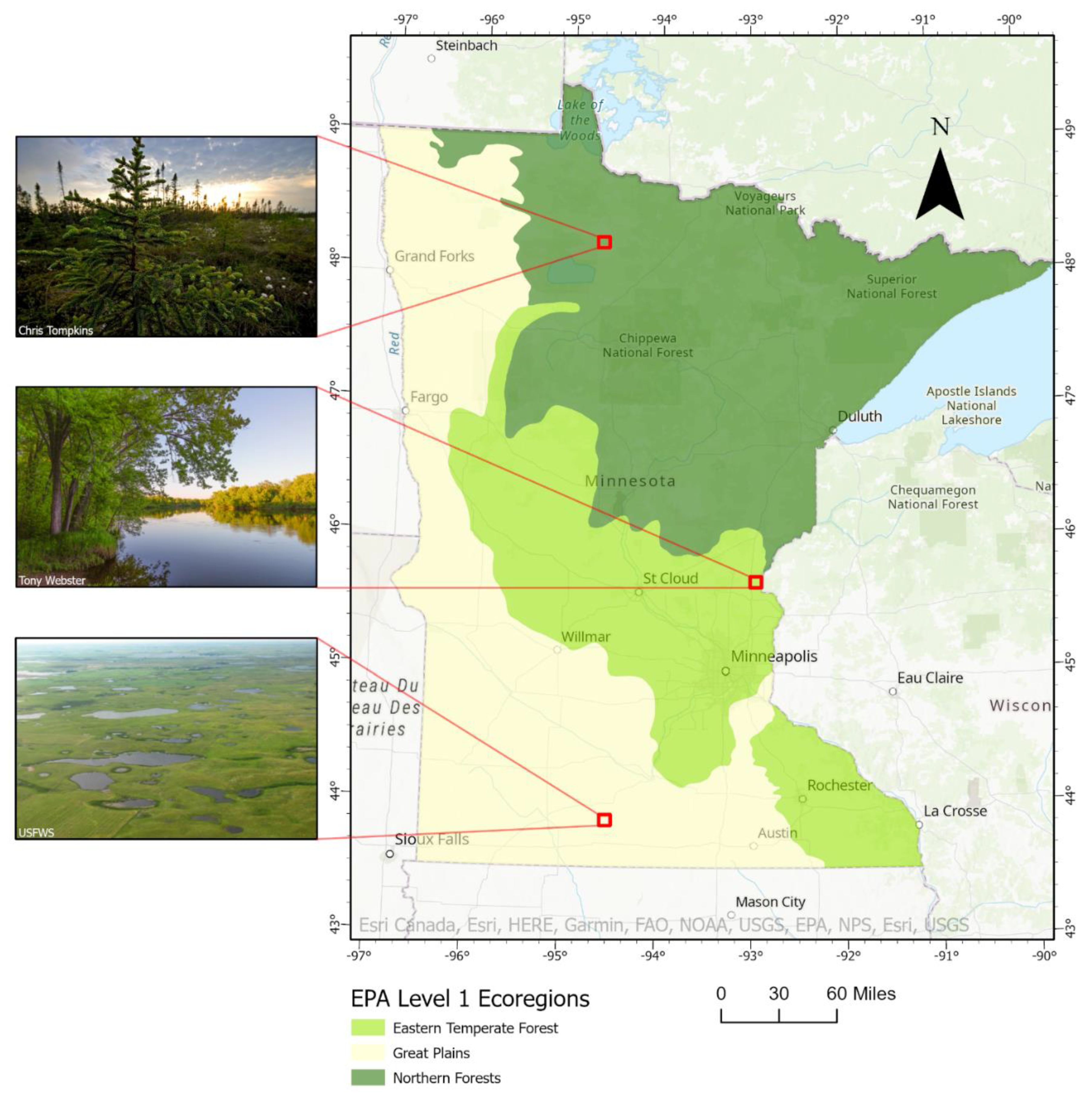 Remotesensing 14 02662 g002