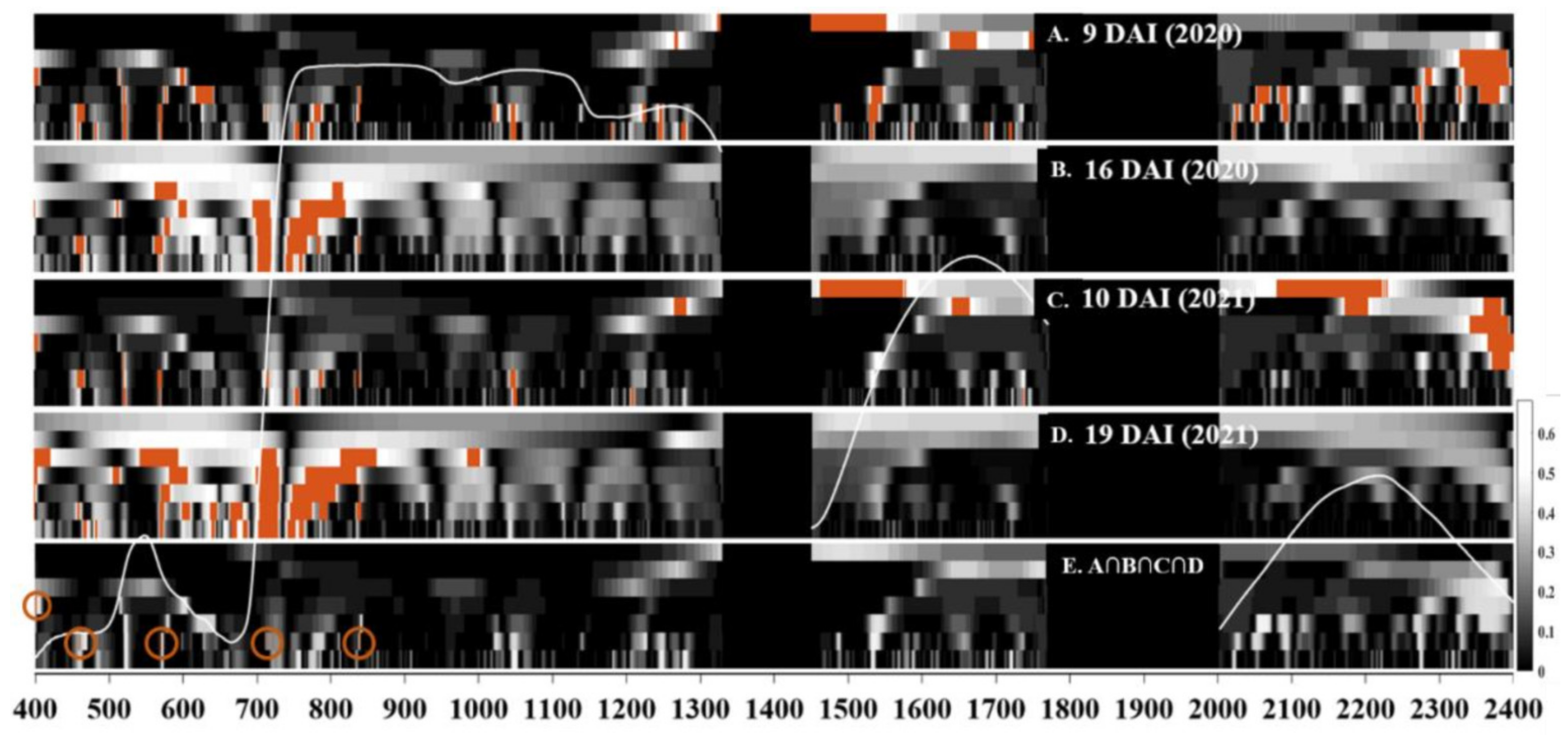 Remotesensing 14 02784 g005