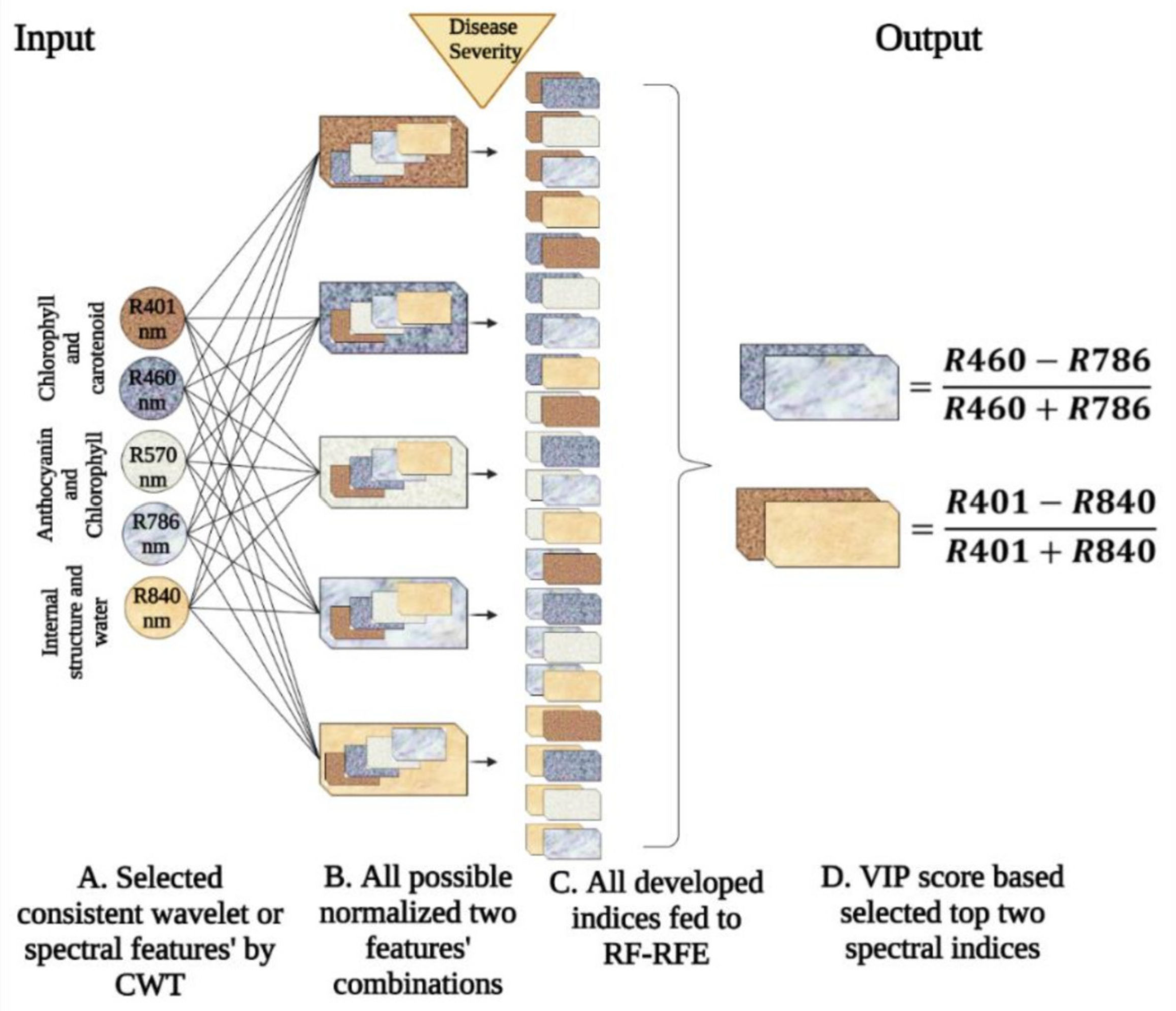 Remotesensing 14 02784 g006