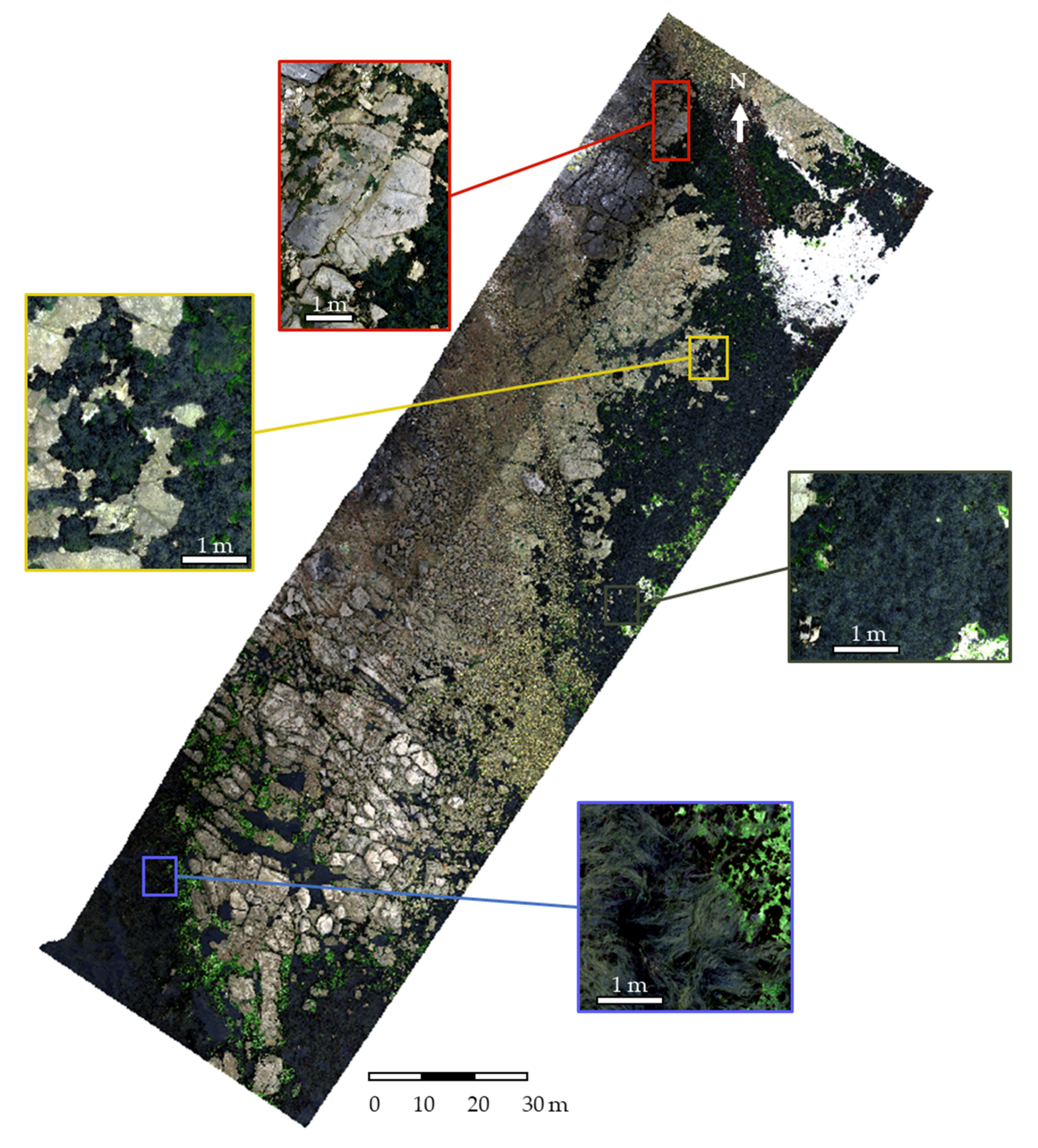 Remotesensing 14 03124 g003