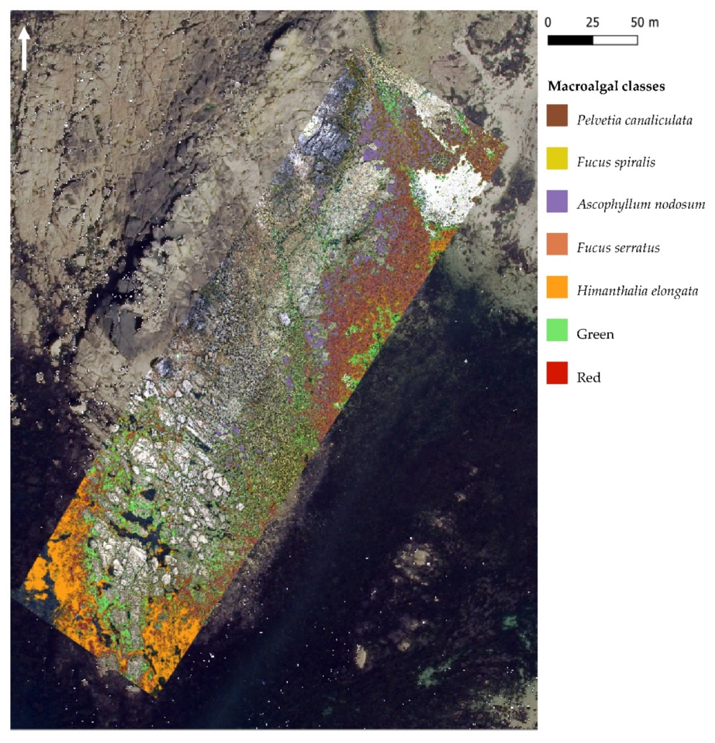 Remotesensing 14 03124 g008