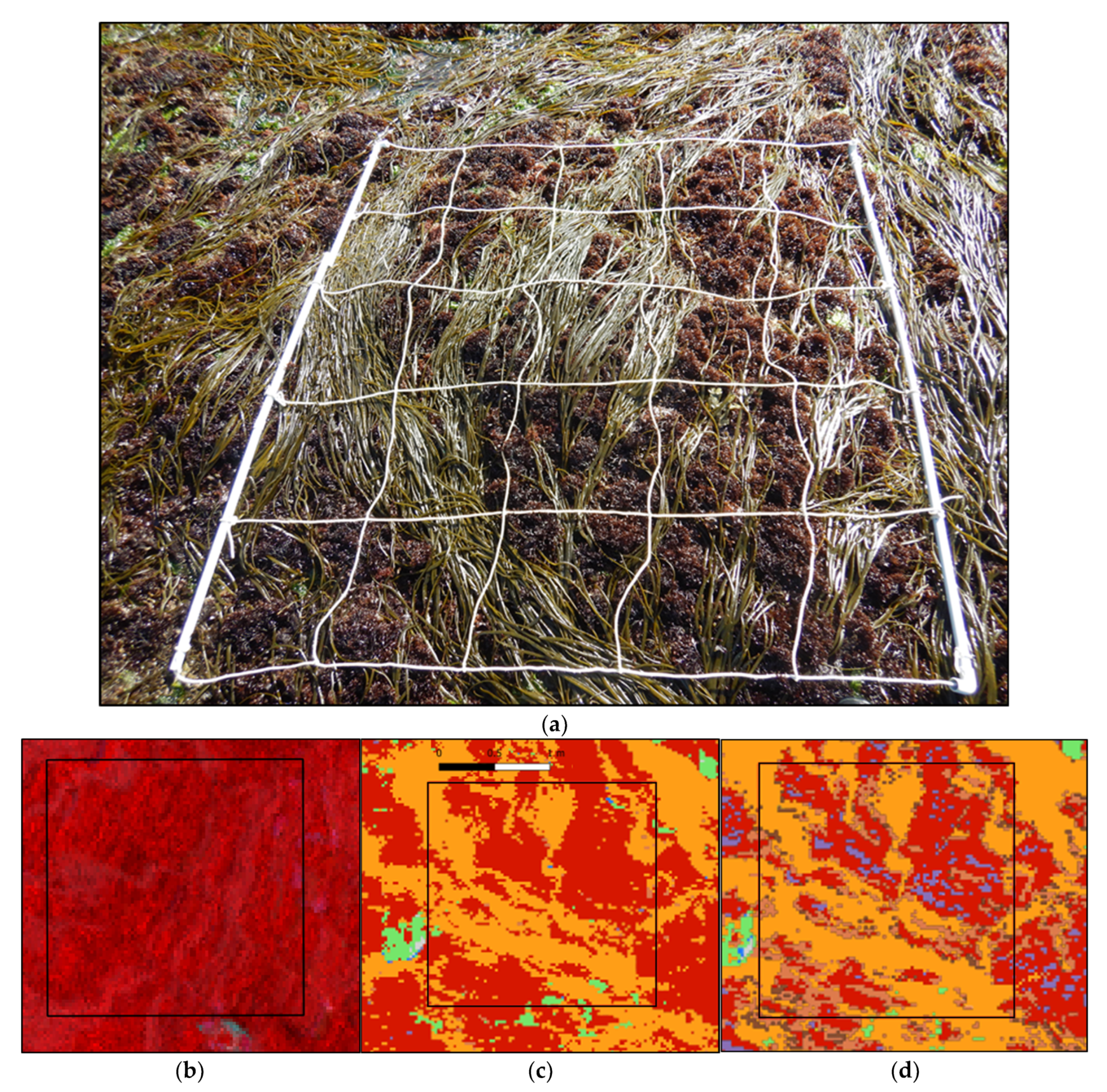 Remotesensing 14 03124 g0a3