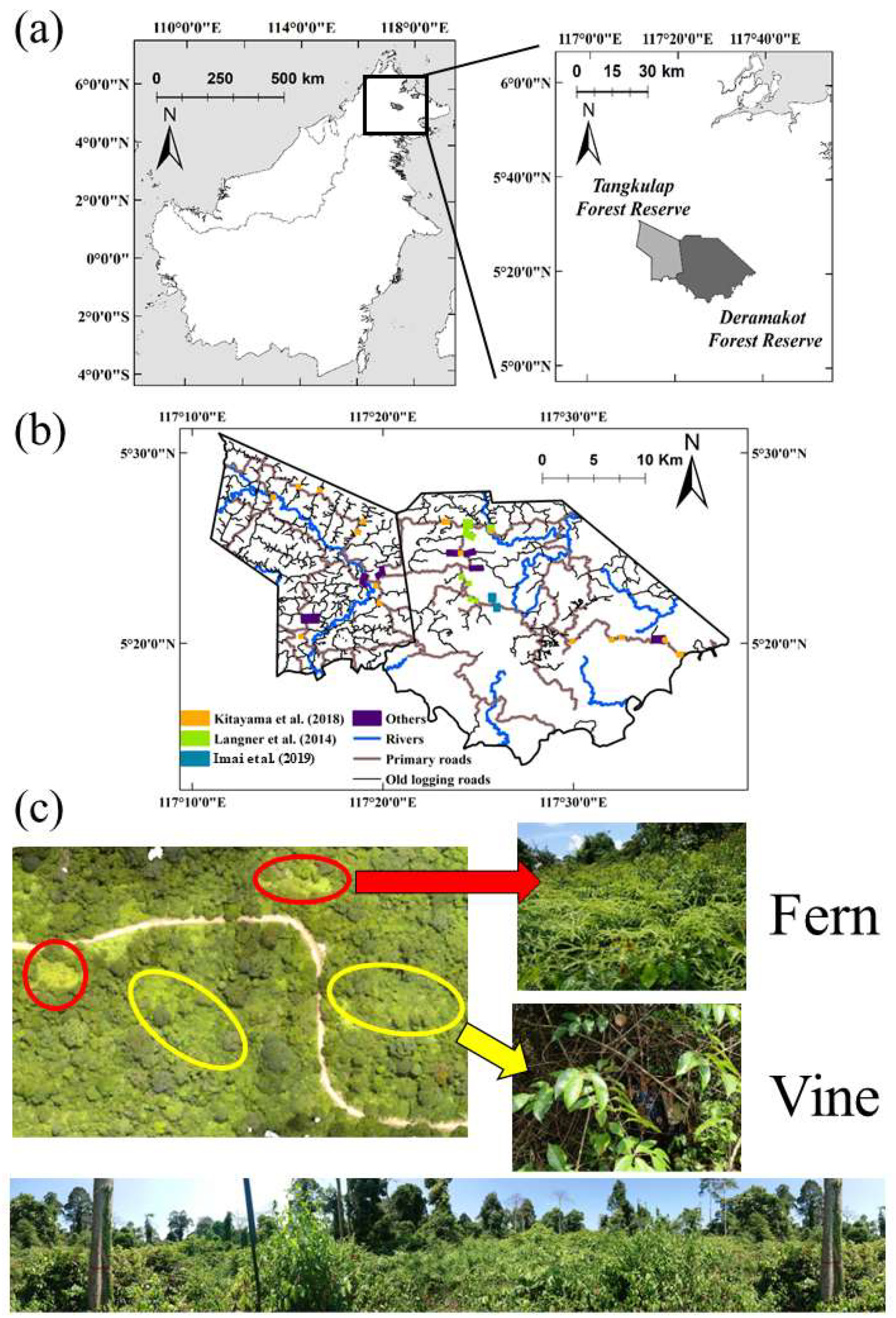 Remotesensing 14 03354 g001