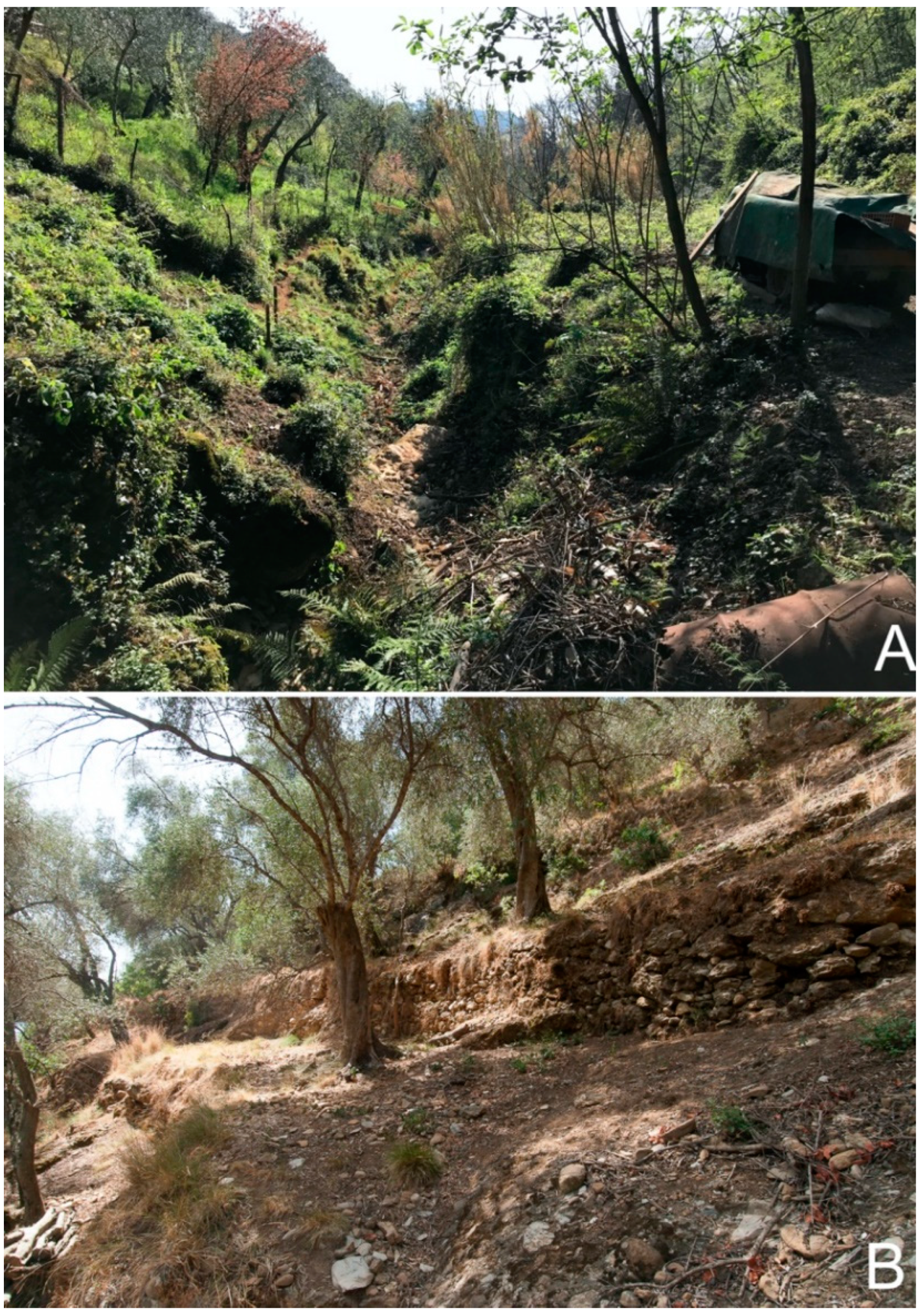 Remotesensing 14 03586 g004