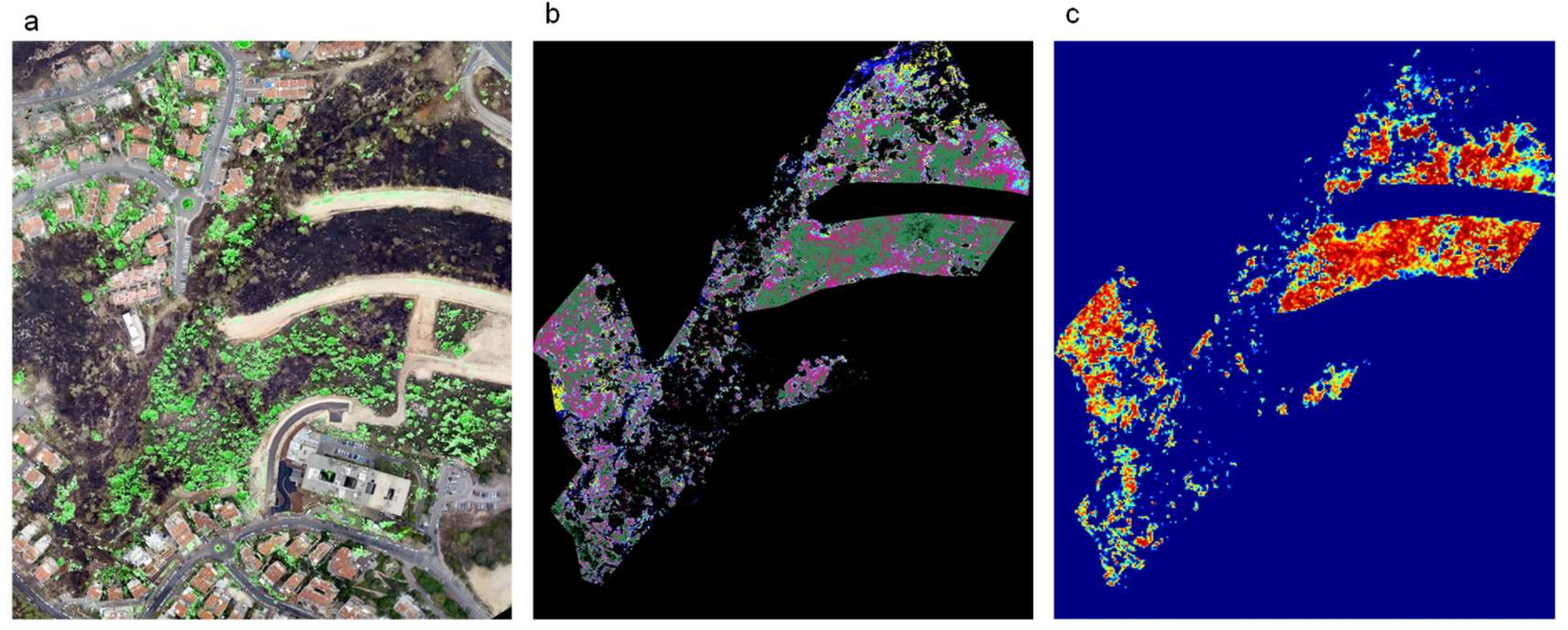Remotesensing 14 03632 g013