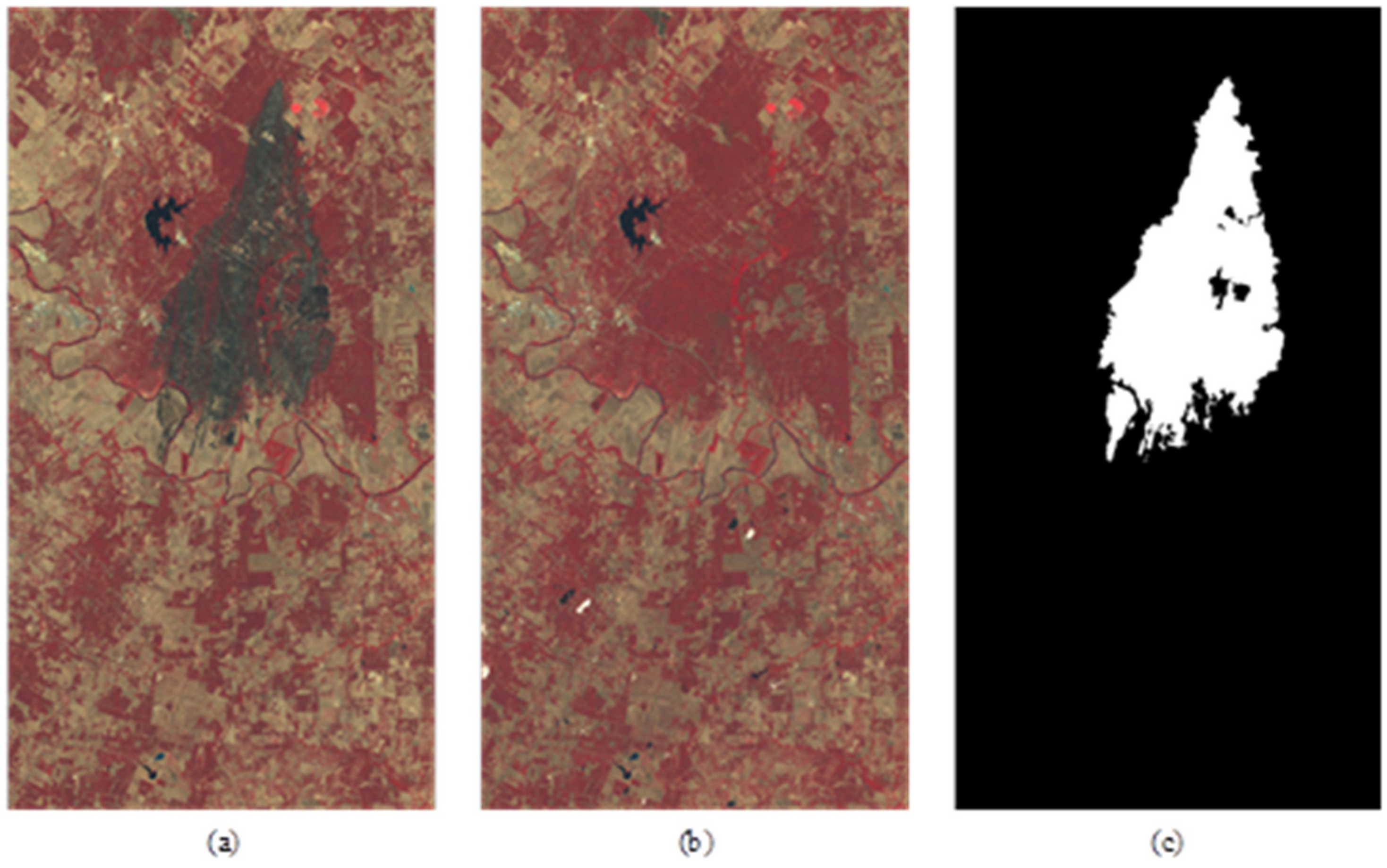 Remotesensing 14 03651 g004