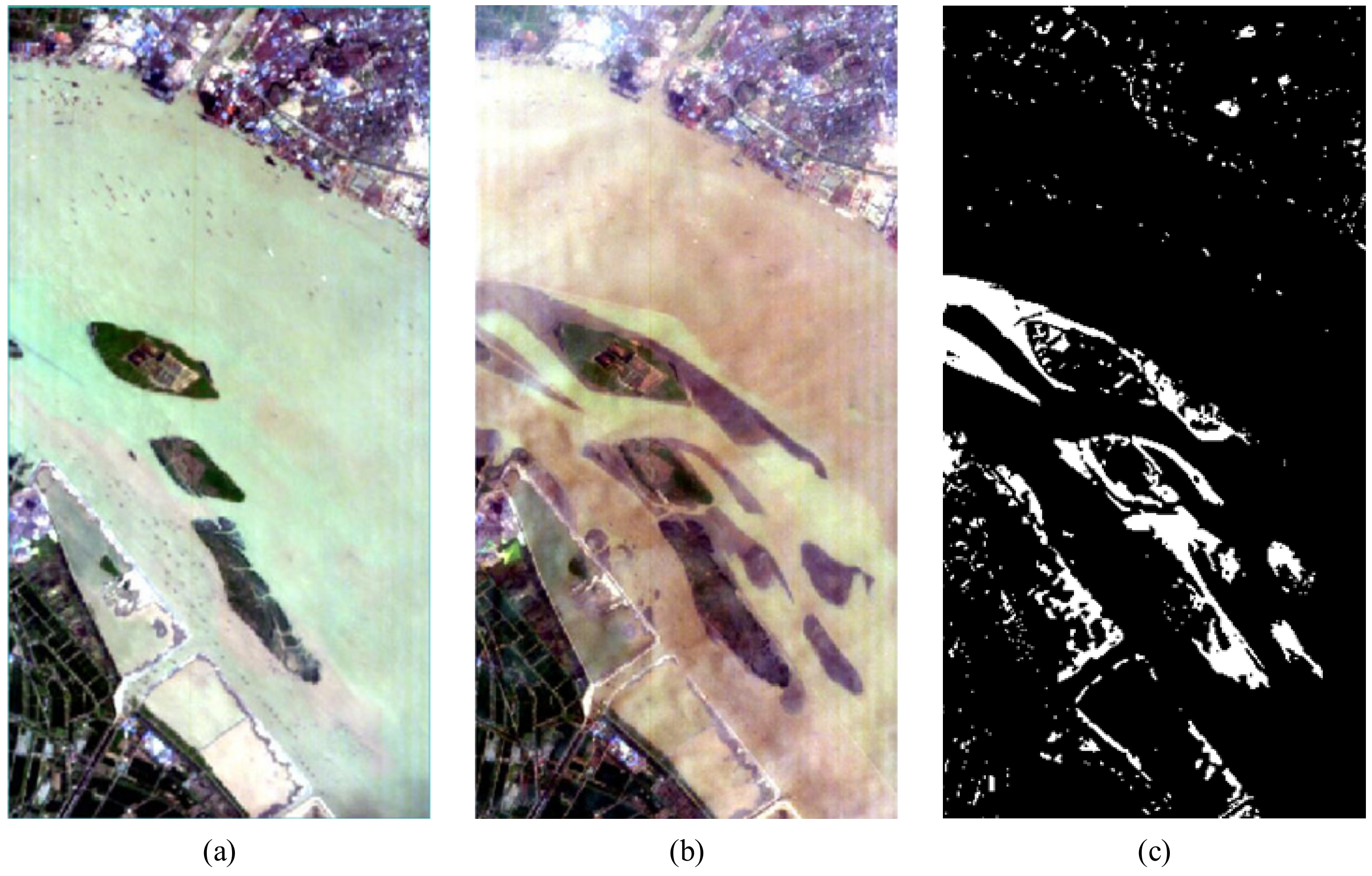 Remotesensing 14 03651 g005