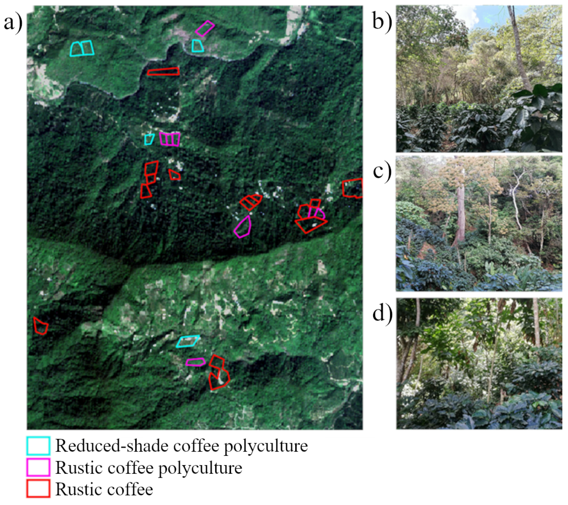 Remotesensing 14 03847 g002