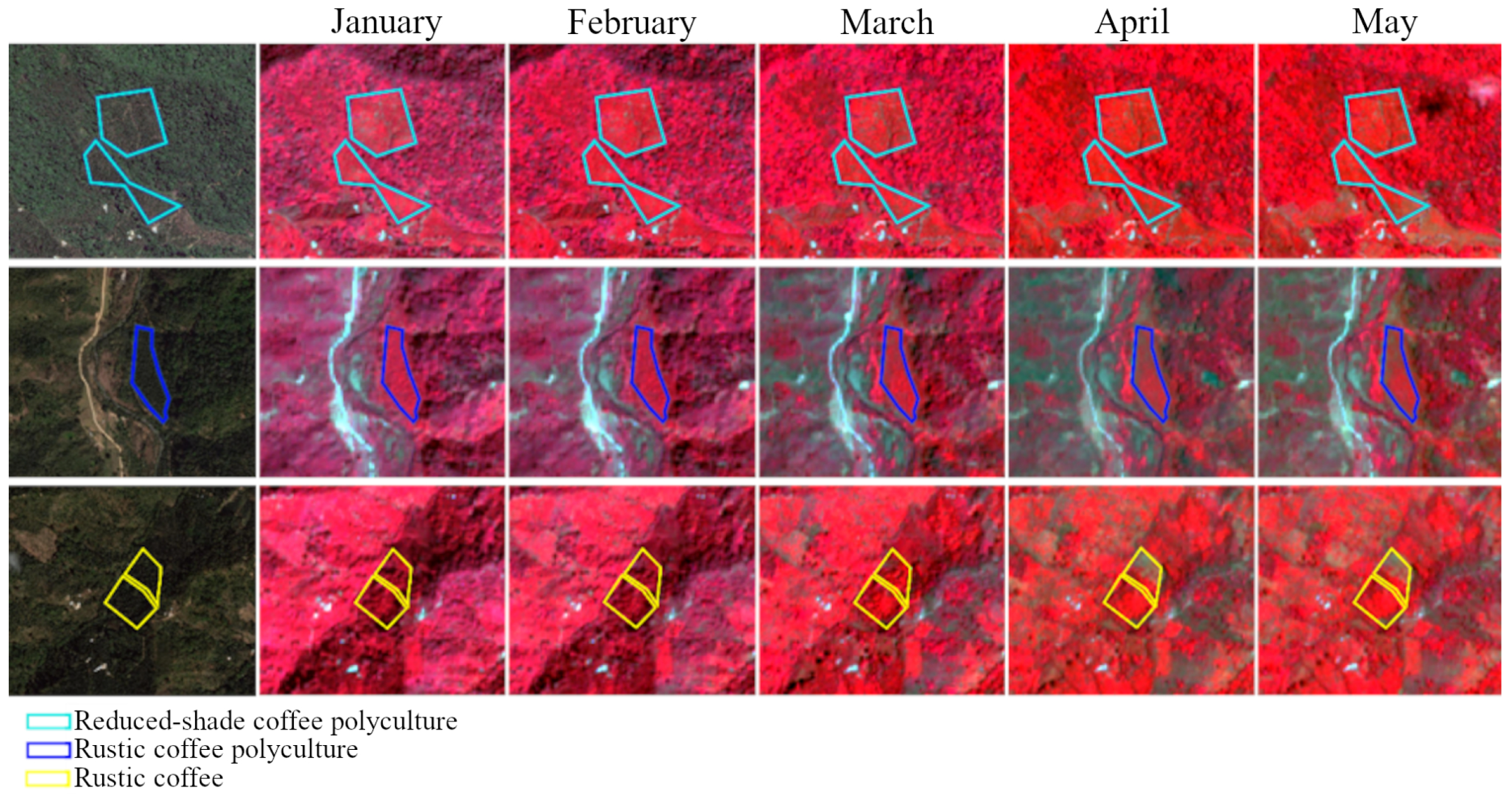 Remotesensing 14 03847 g006