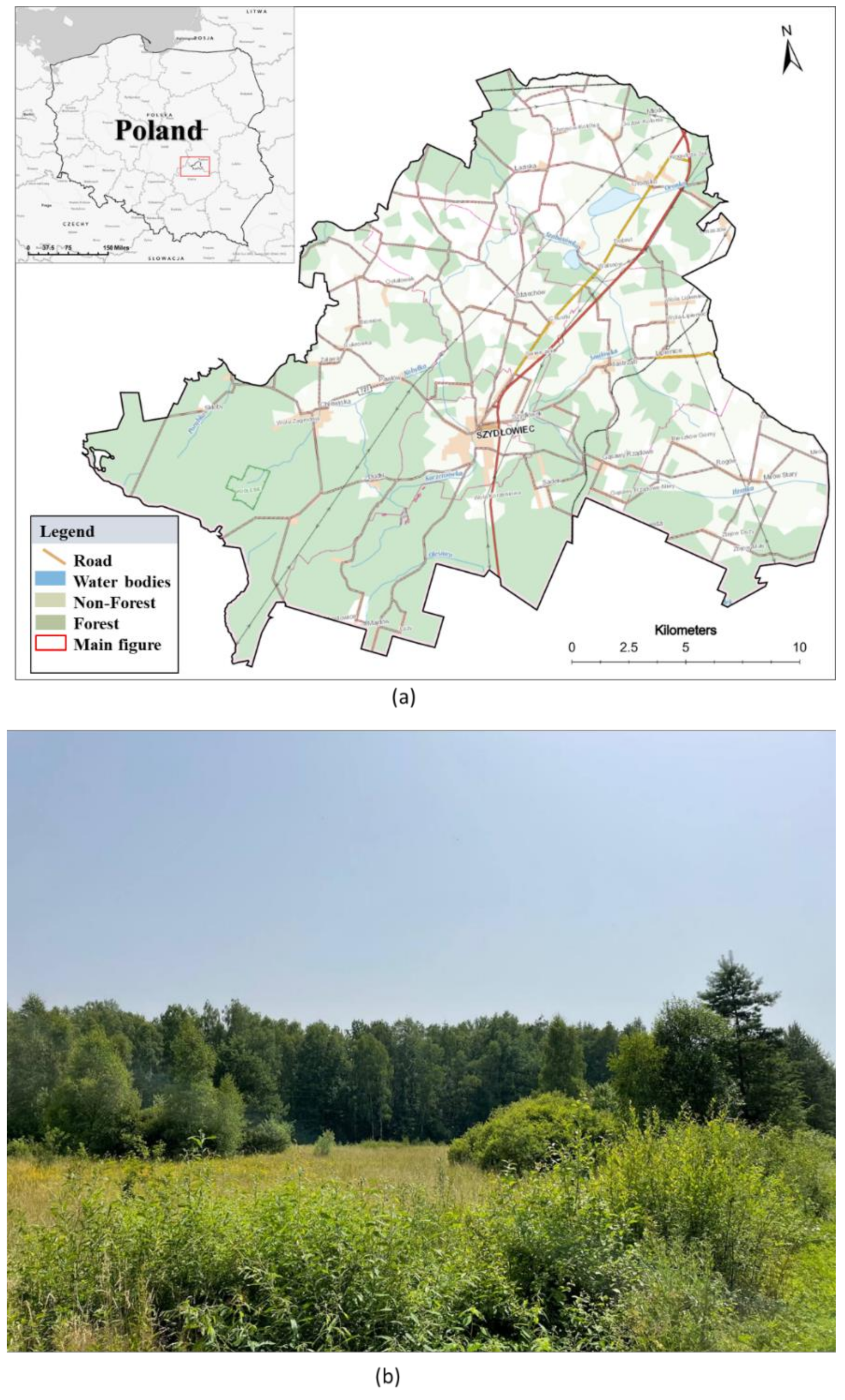 Remotesensing 14 03852 g001