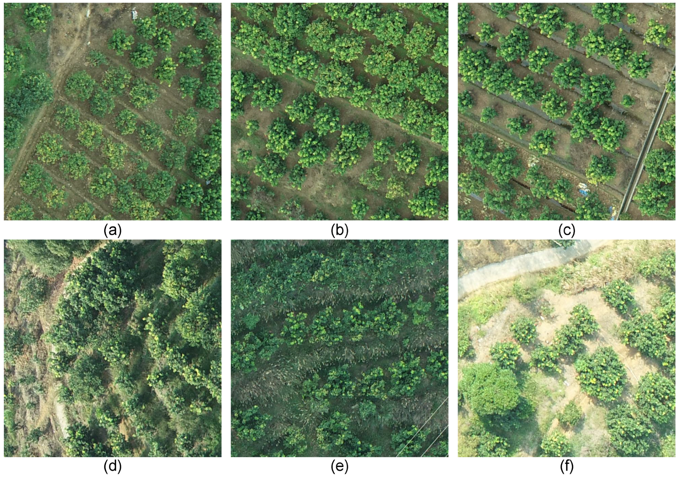 Remotesensing 14 03902 g002