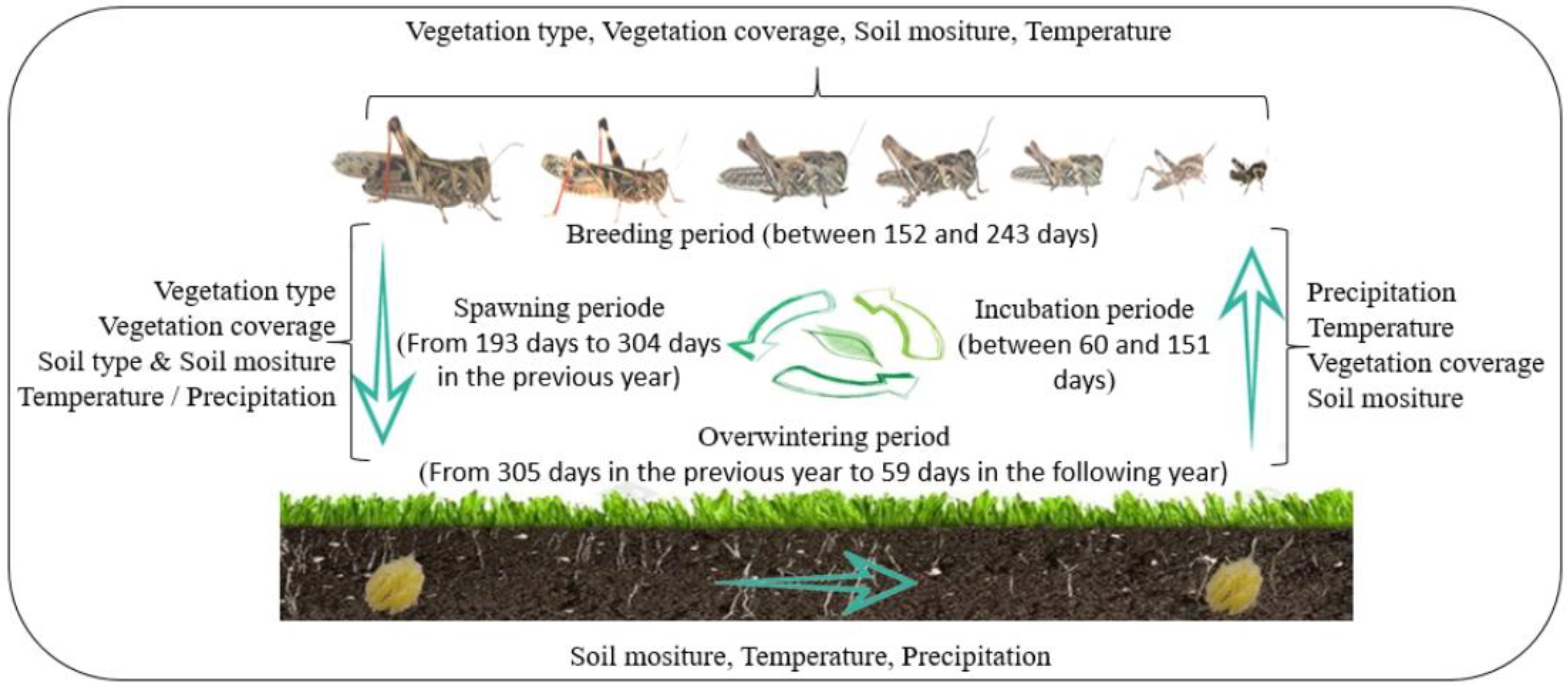 Remotesensing 14 03910 g002 Remotesensing 14 03910 g002