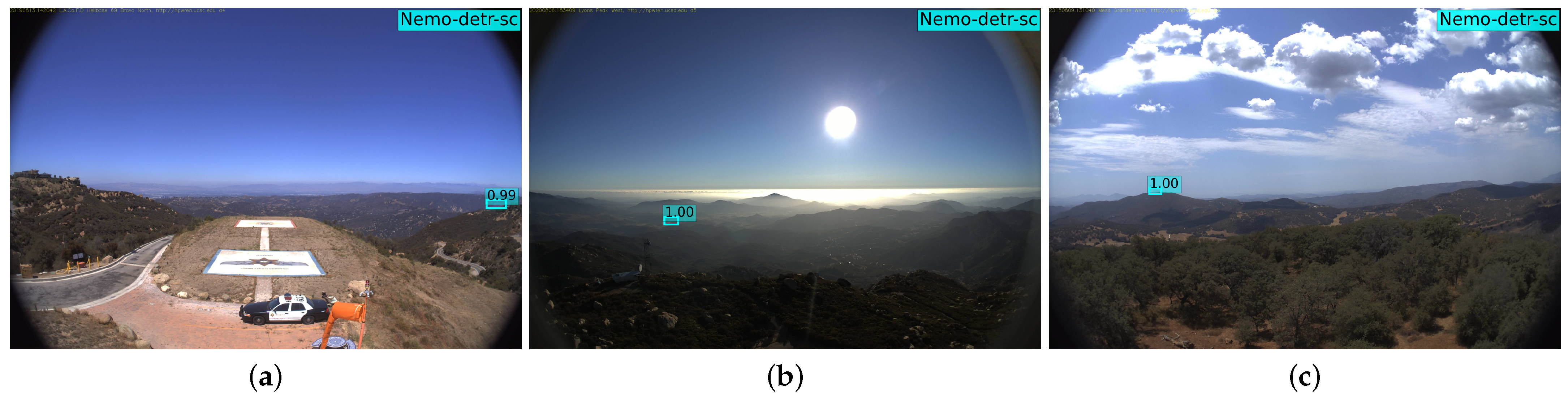 Remote Sensing | Free Full-Text | Nemo: An Open-Source  Transformer-Supercharged Benchmark for Fine-Grained Wildfire Smoke Detection