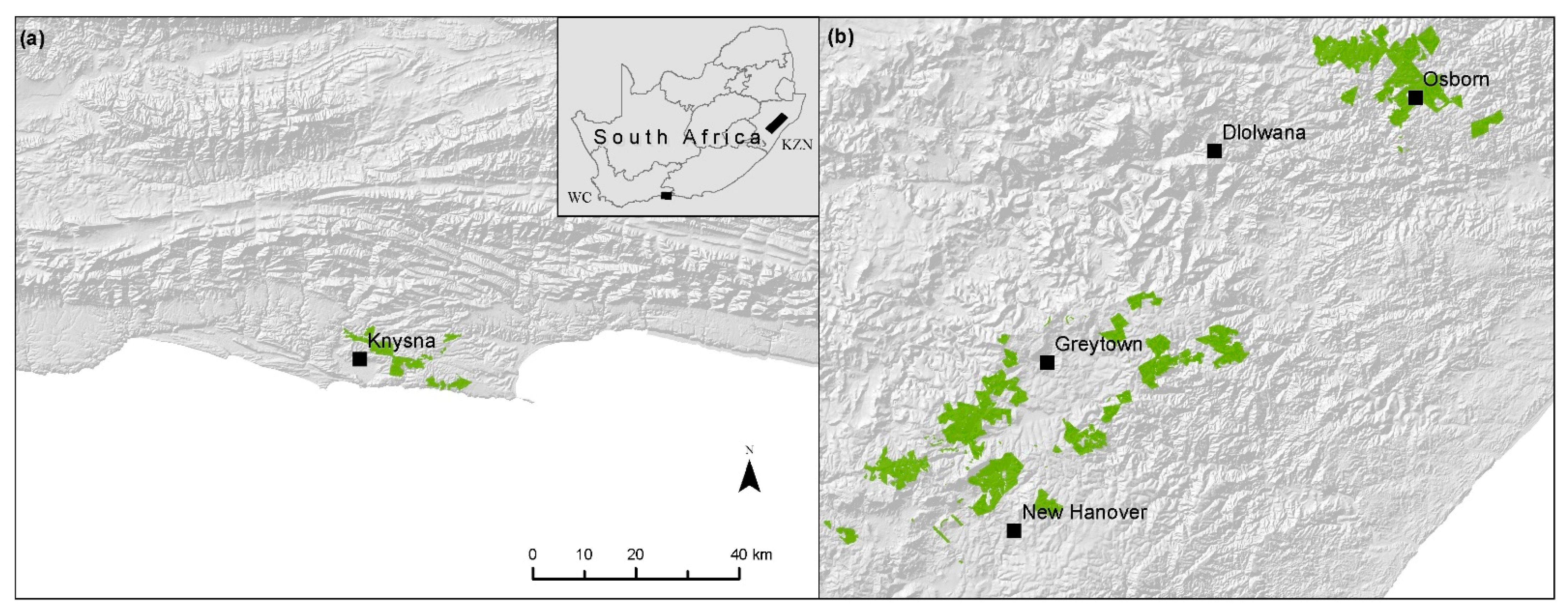 Remotesensing 14 03992 g002