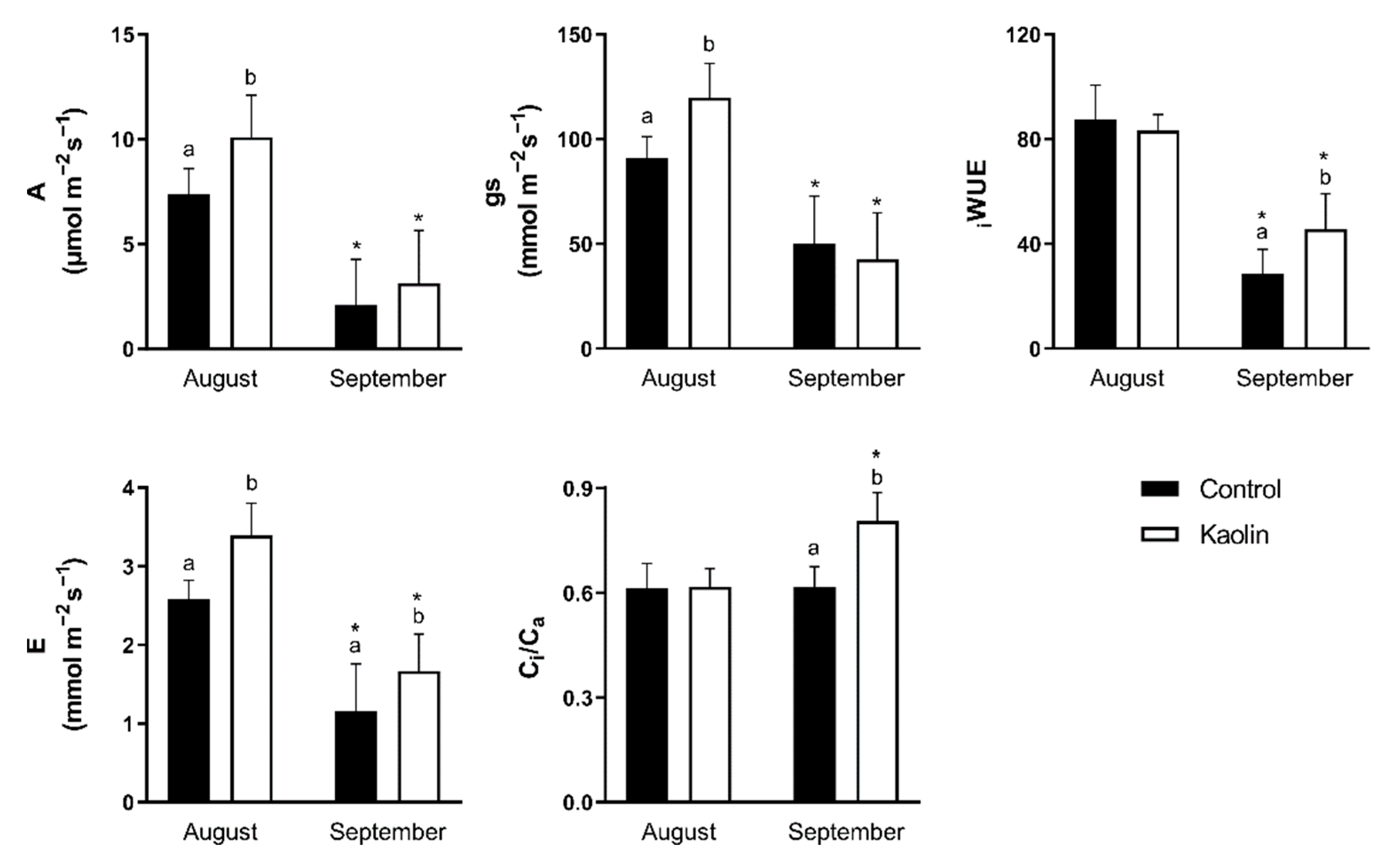 Remotesensing 14 04019 g006