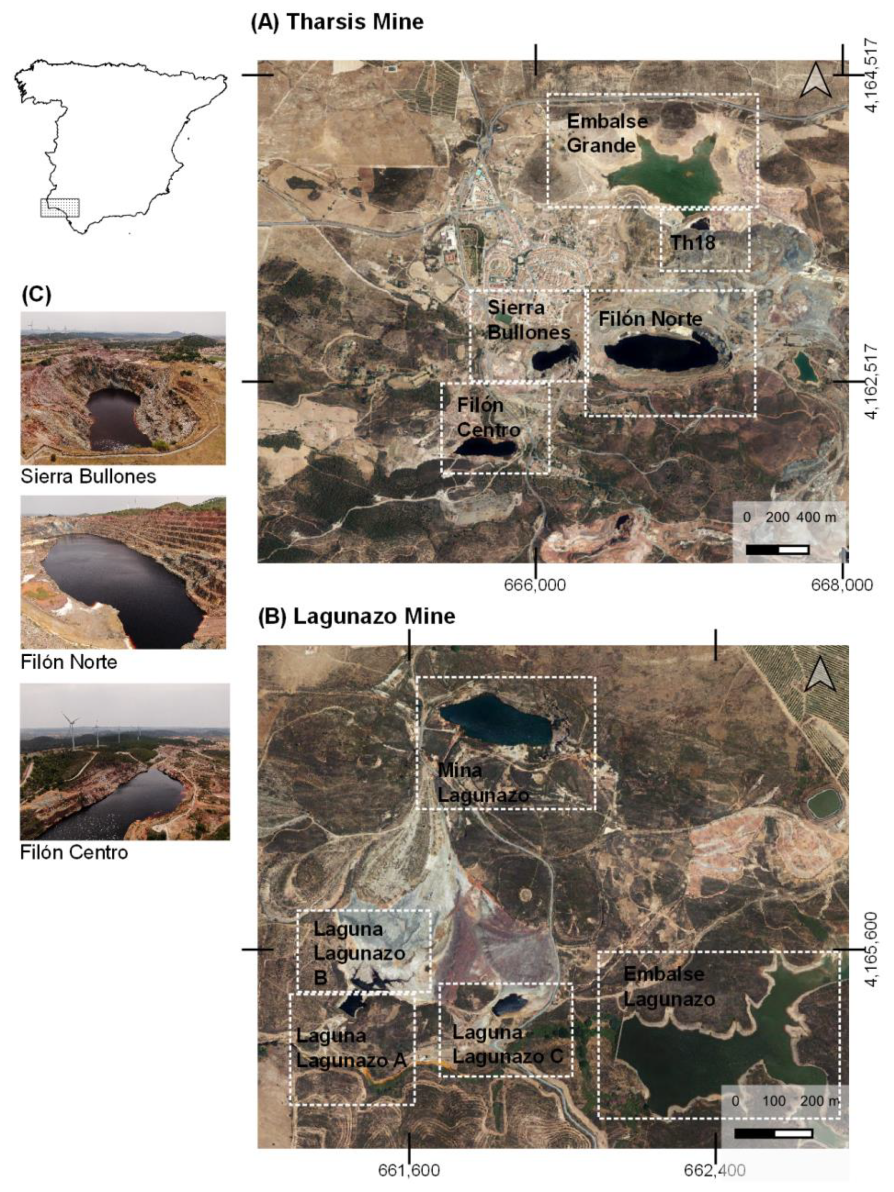 Remotesensing 14 04053 g001