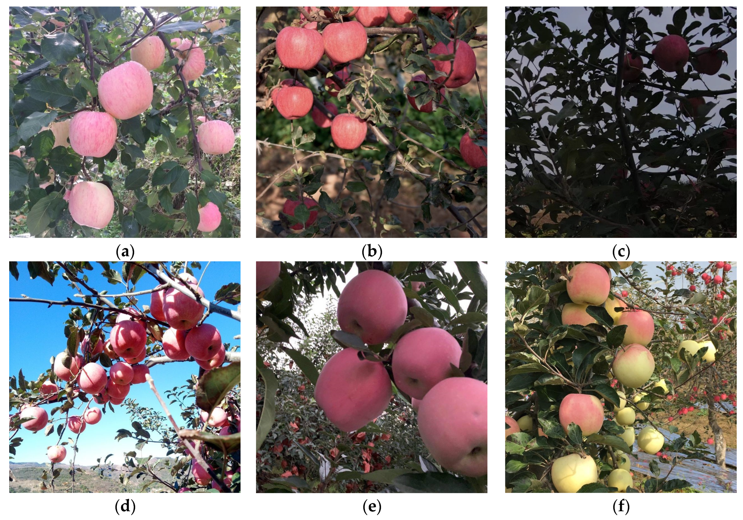 Remotesensing 14 04150 g001