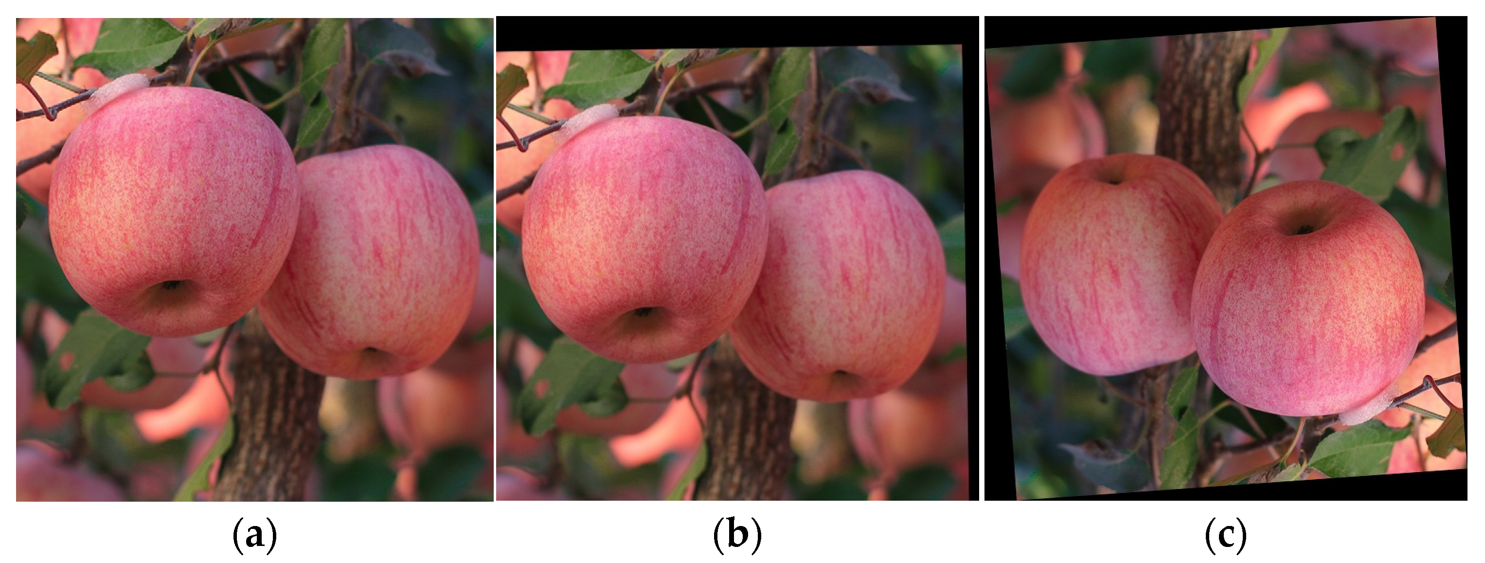 Remotesensing 14 04150 g003