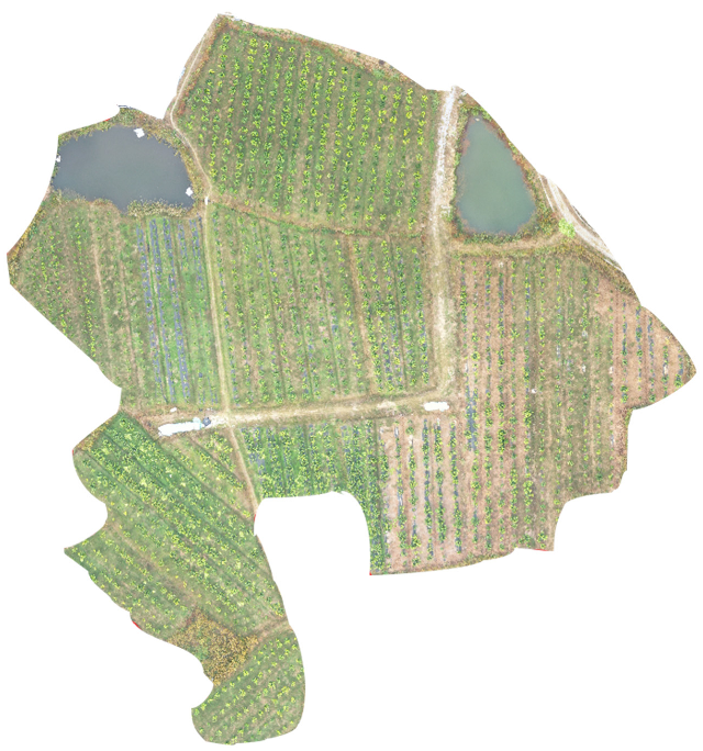 Remotesensing 14 04324 g001