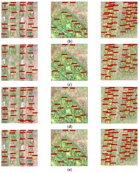 Remotesensing 14 04324 g006b