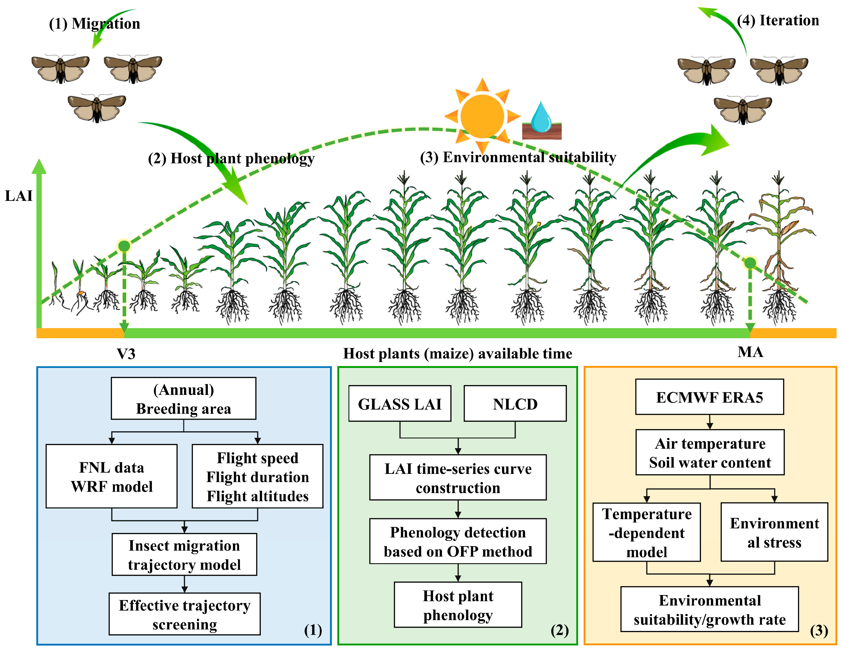 Frontiers  Fall armyworm from a maize multi-peril pest risk perspective