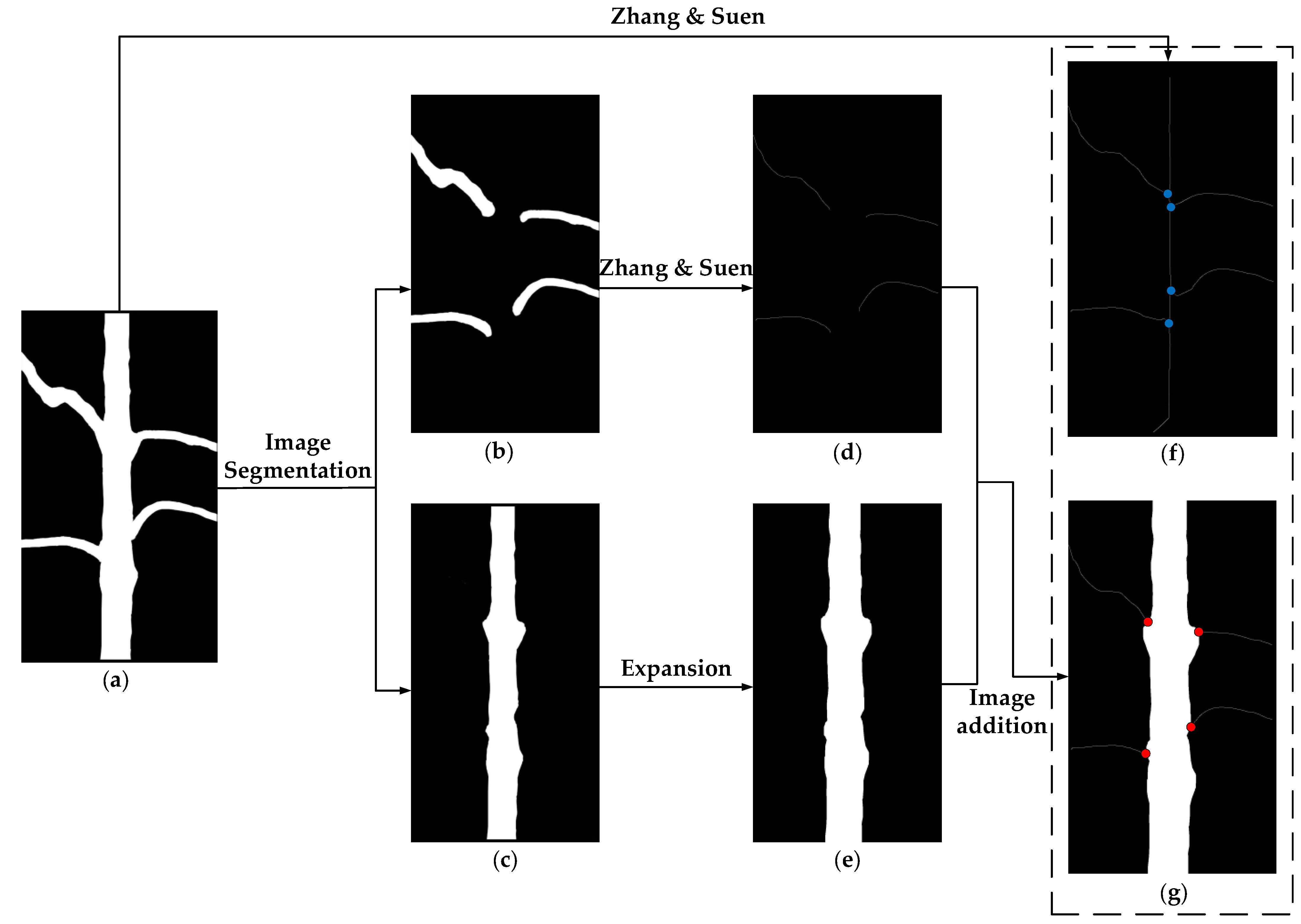 Remote Sensing Free FullText Branch Identification and Junction