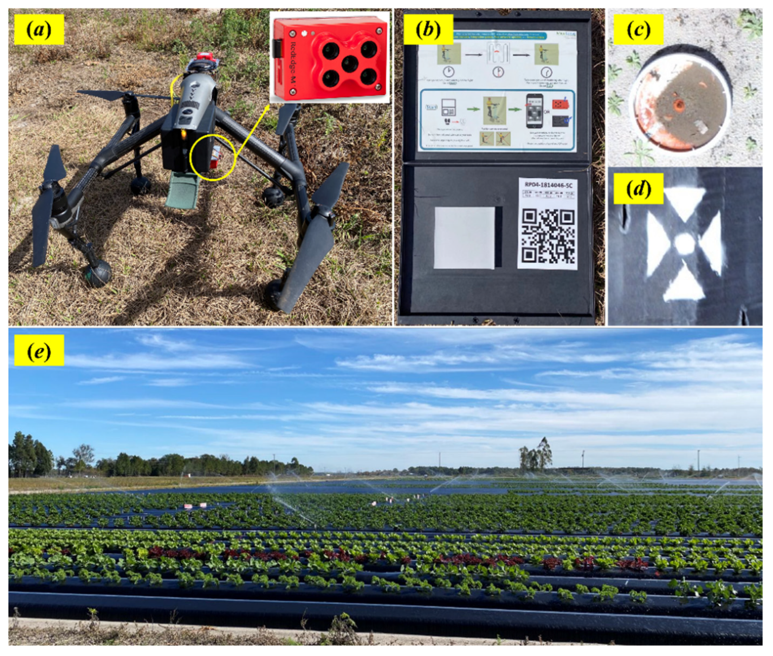 Remote Sensing | Free Full-Text | Prediction of Strawberry Dry