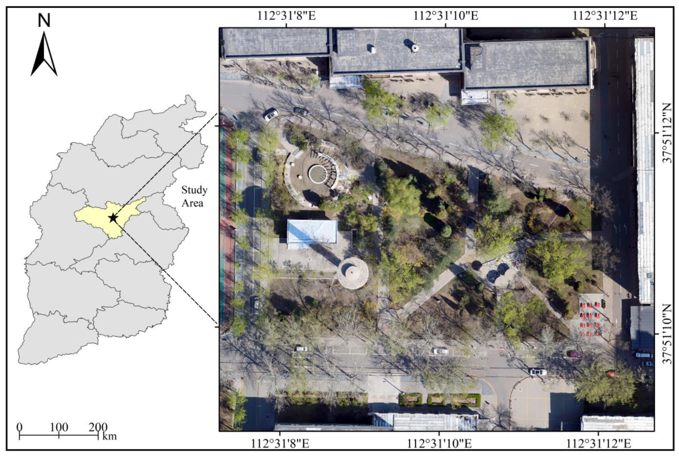 Remote Sensing | Free Full-Text | Biomass Calculations of Individual Trees  Based on Unmanned Aerial Vehicle Multispectral Imagery and Laser Scanning  Combined with Terrestrial Laser Scanning in Complex Stands | HTML