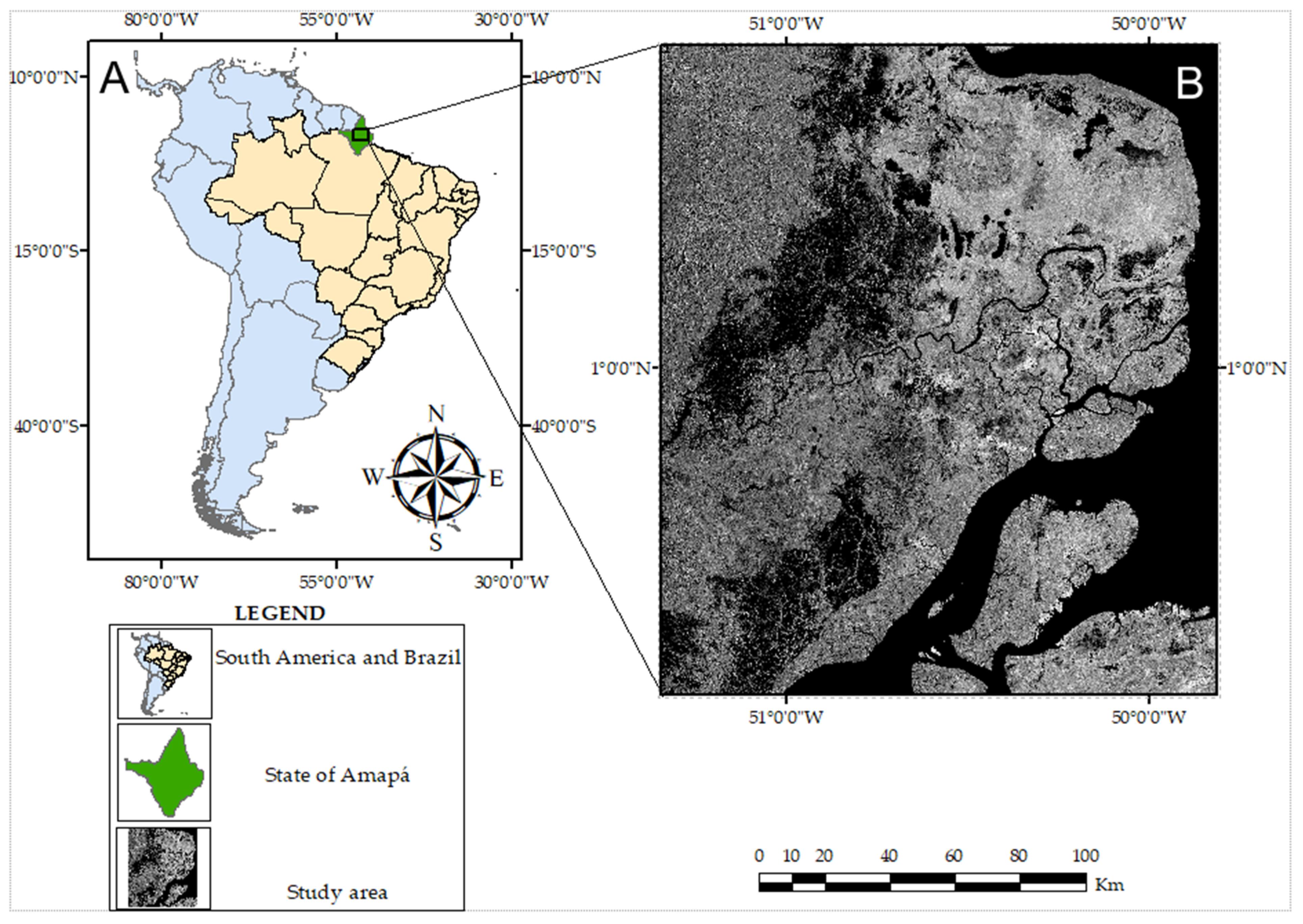 Remote Sensing | Free Full-Text | Comparing Machine and Deep Learning  Methods for the Phenology-Based Classification of Land Cover Types in the  Amazon Biome Using Sentinel-1 Time Series