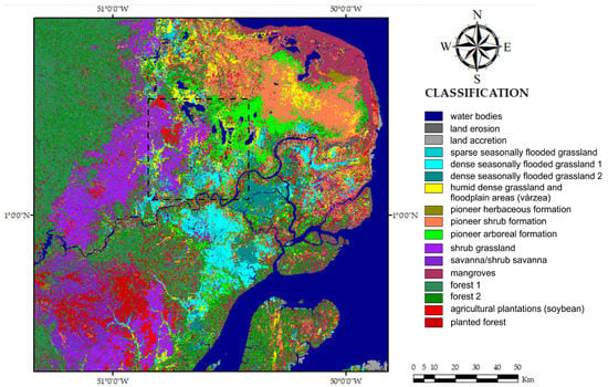Remote Sensing | Free Full-Text | Comparing Machine and Deep Learning  Methods for the Phenology-Based Classification of Land Cover Types in the  Amazon Biome Using Sentinel-1 Time Series
