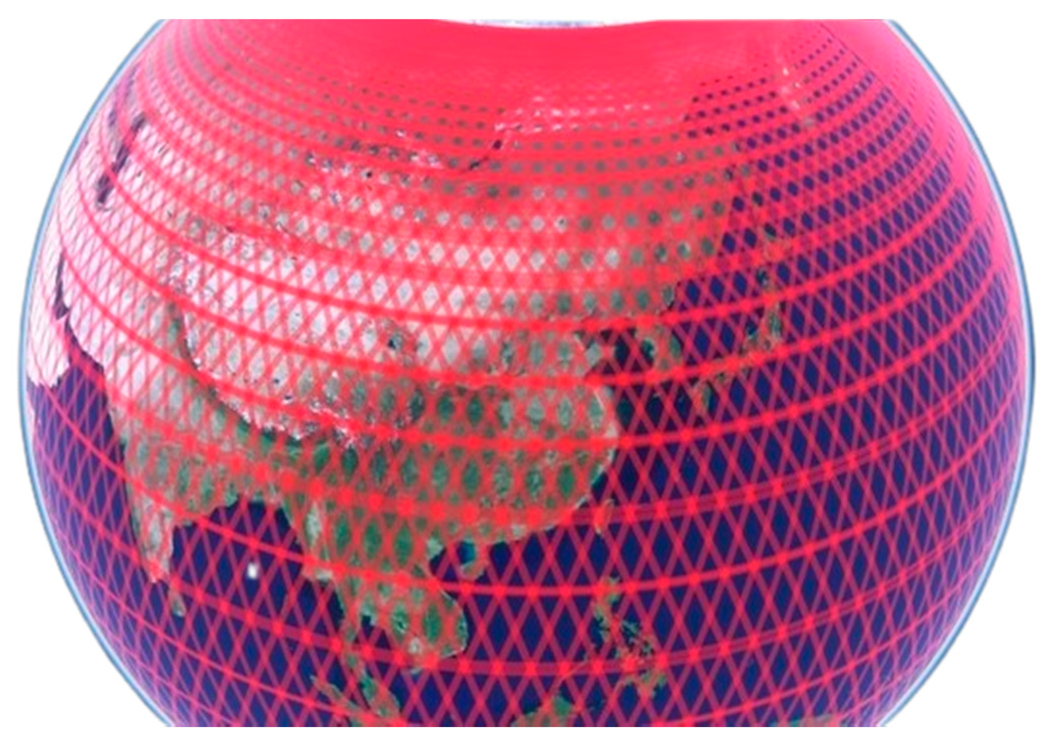 Remotesensing 14 04904 g004