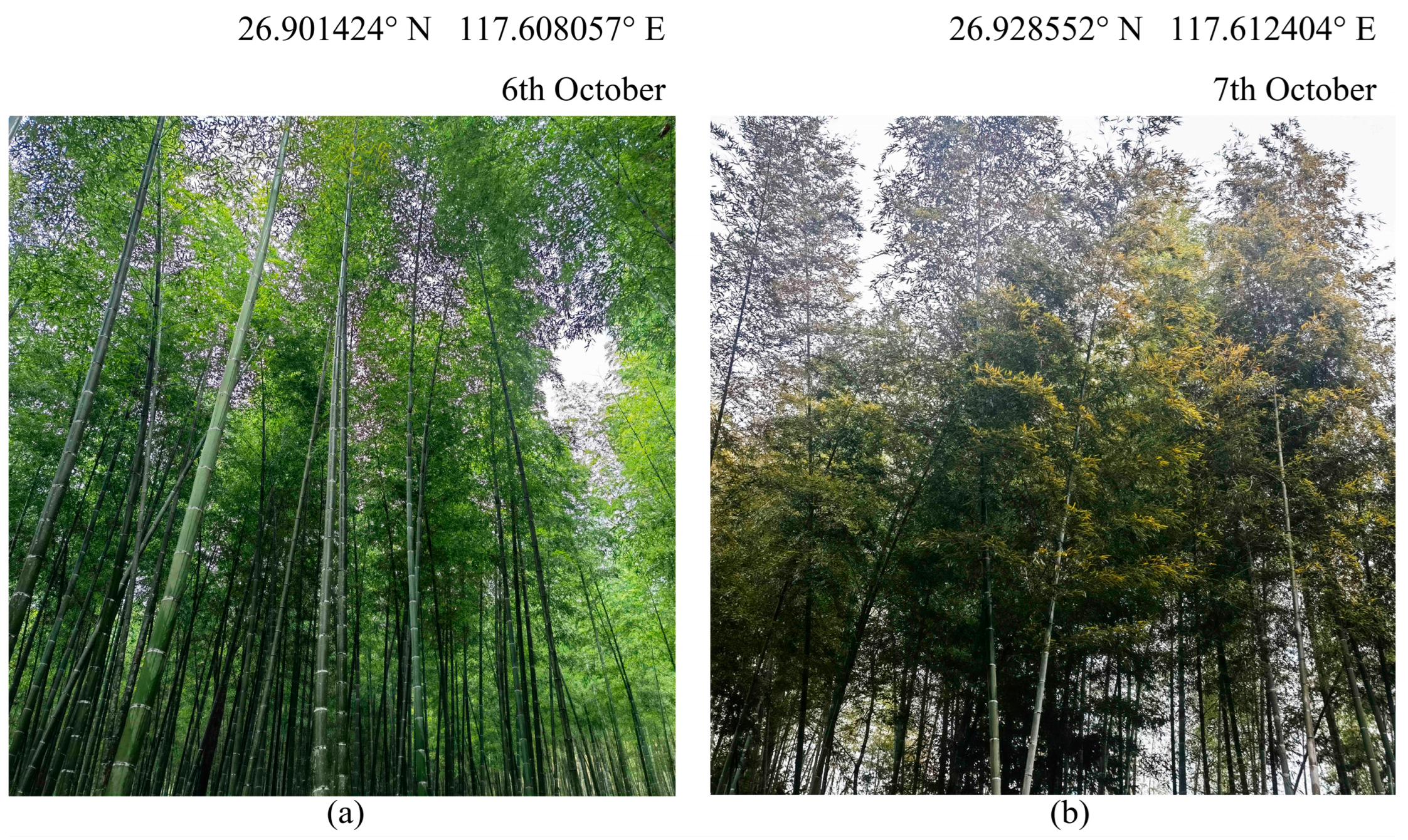 Remotesensing 14 05012 g001 Remotesensing 14 05012 g001